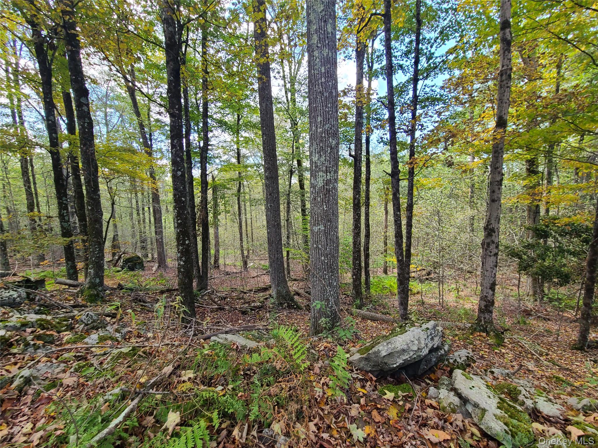 118 Hilltop Road Property Photo 14