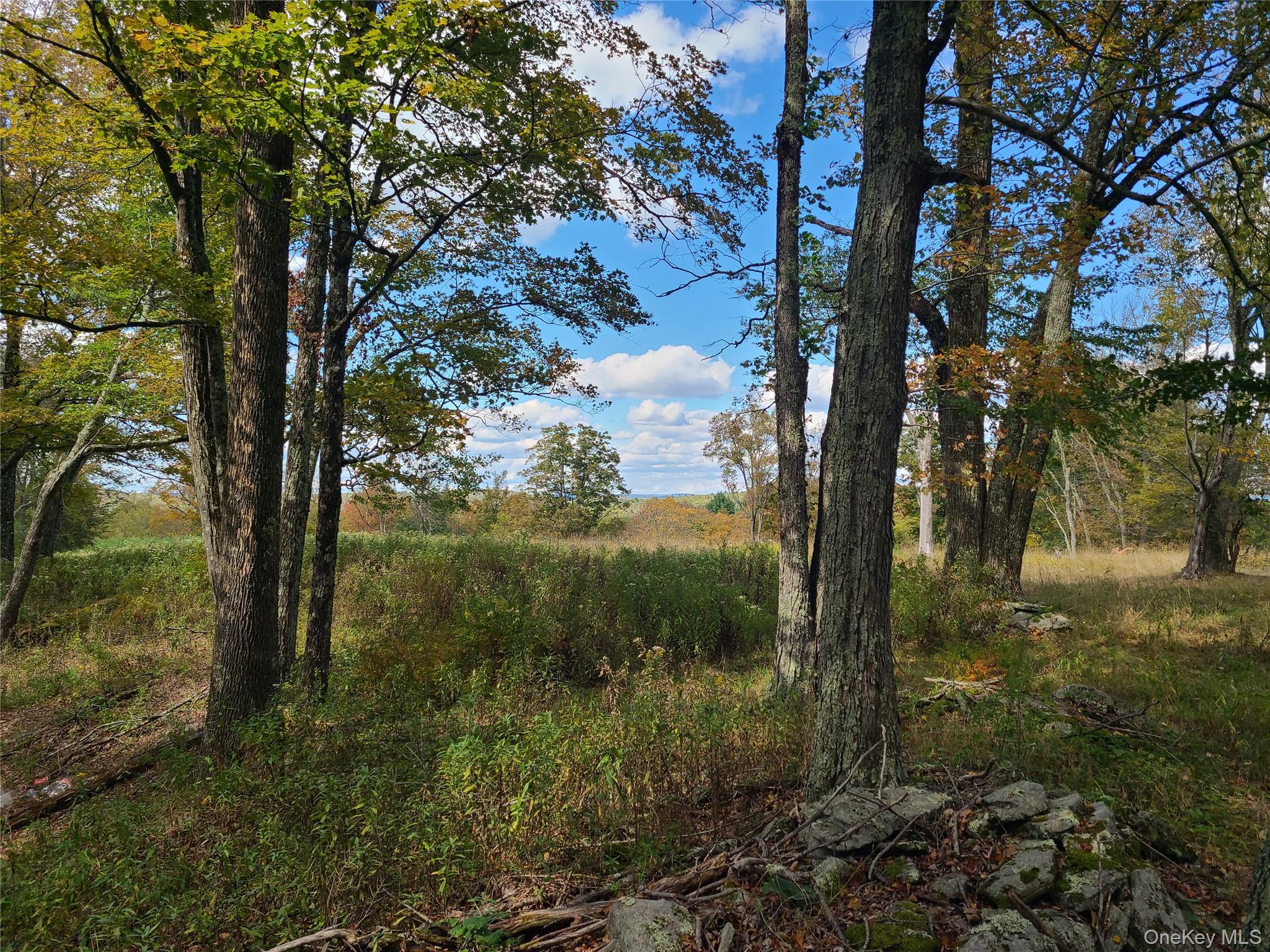 118 Hilltop Road Property Photo 15