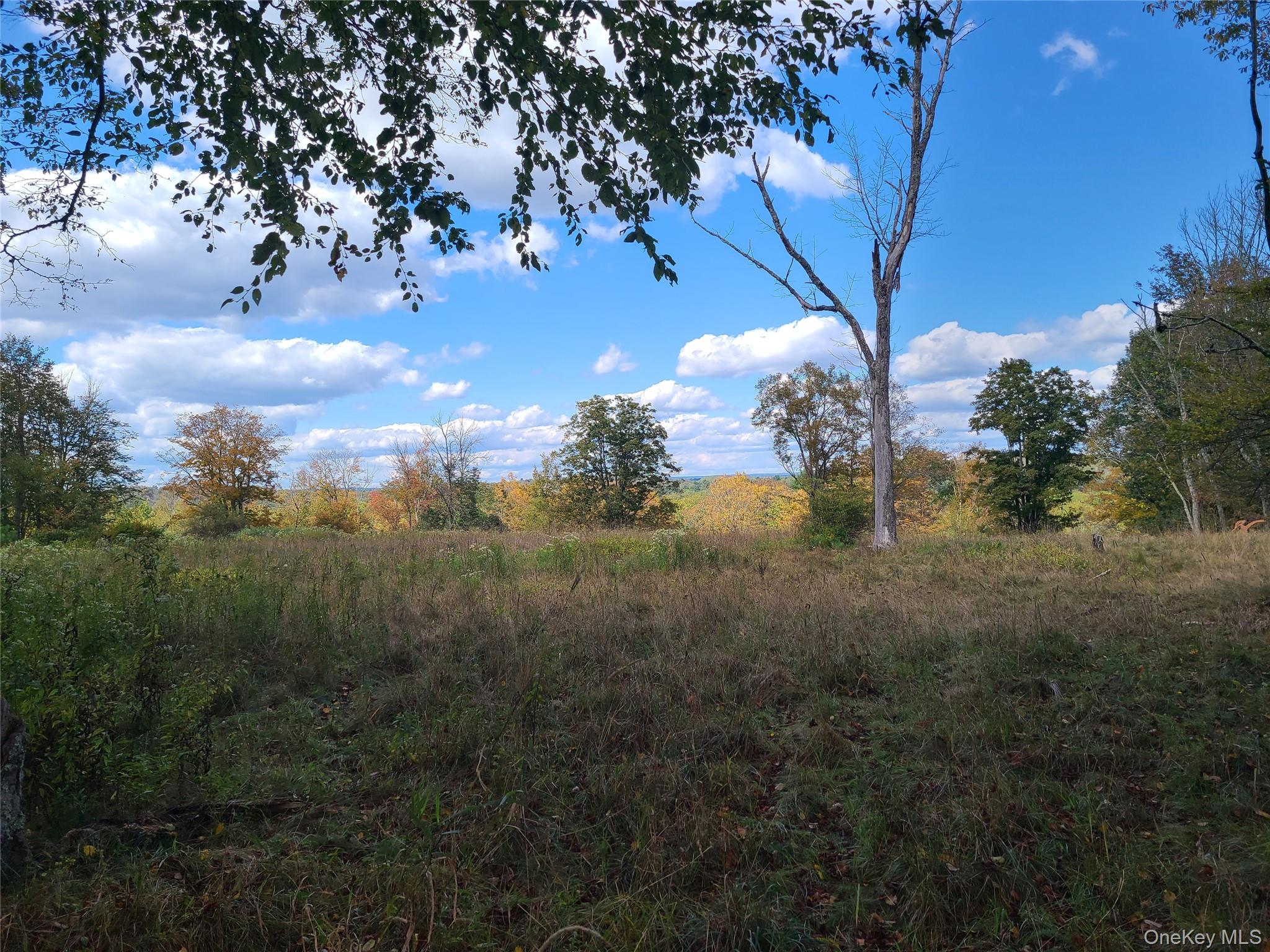 118 Hilltop Road Property Photo 16