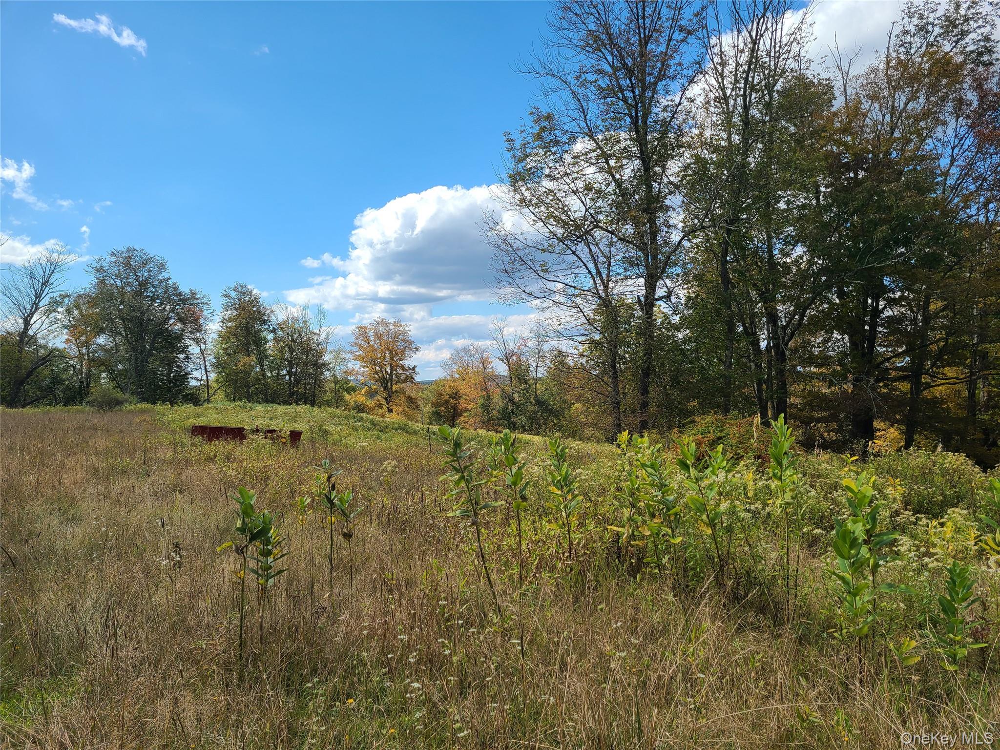 118 Hilltop Road Property Photo 19