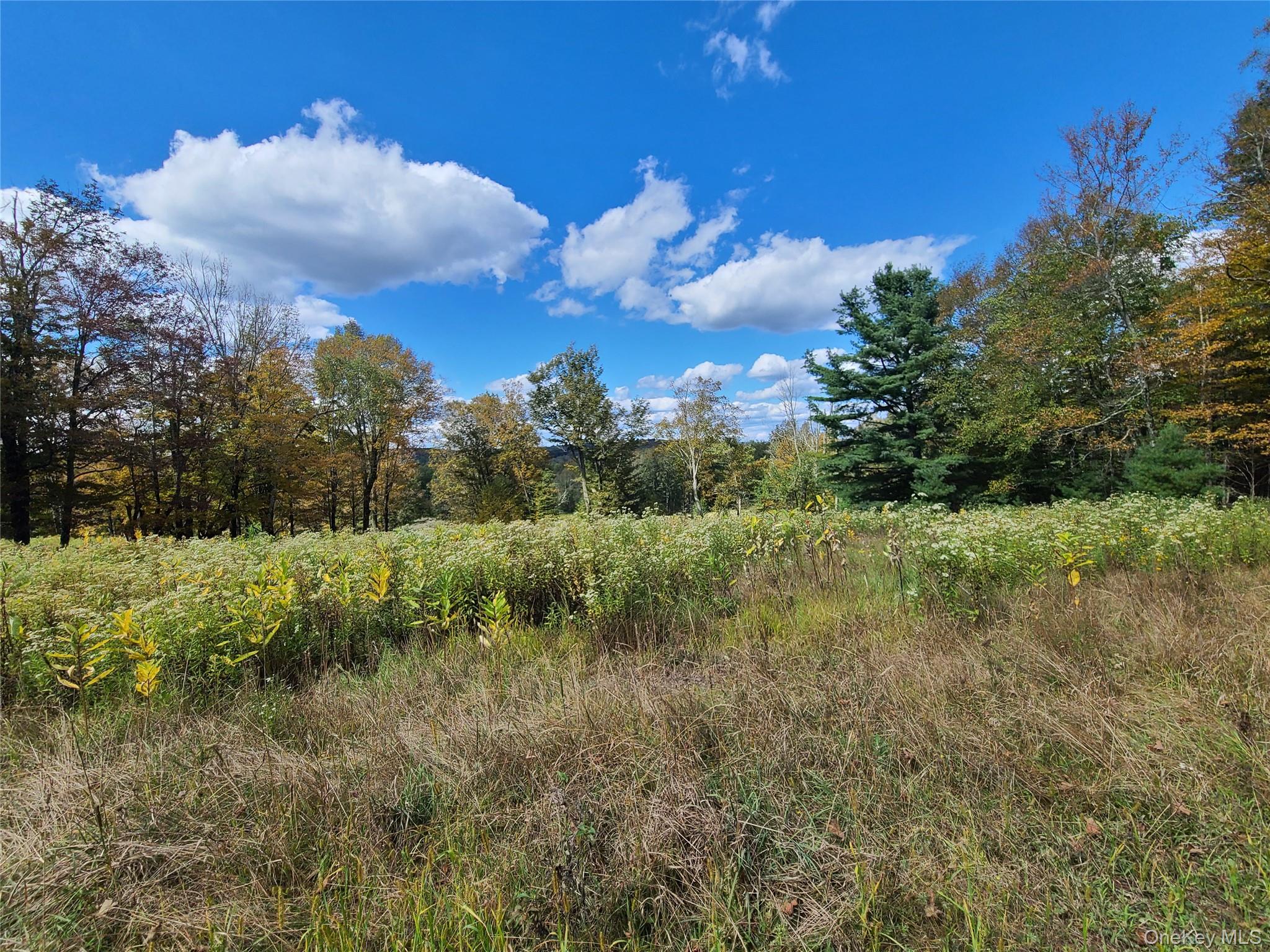 118 Hilltop Road Property Photo 20