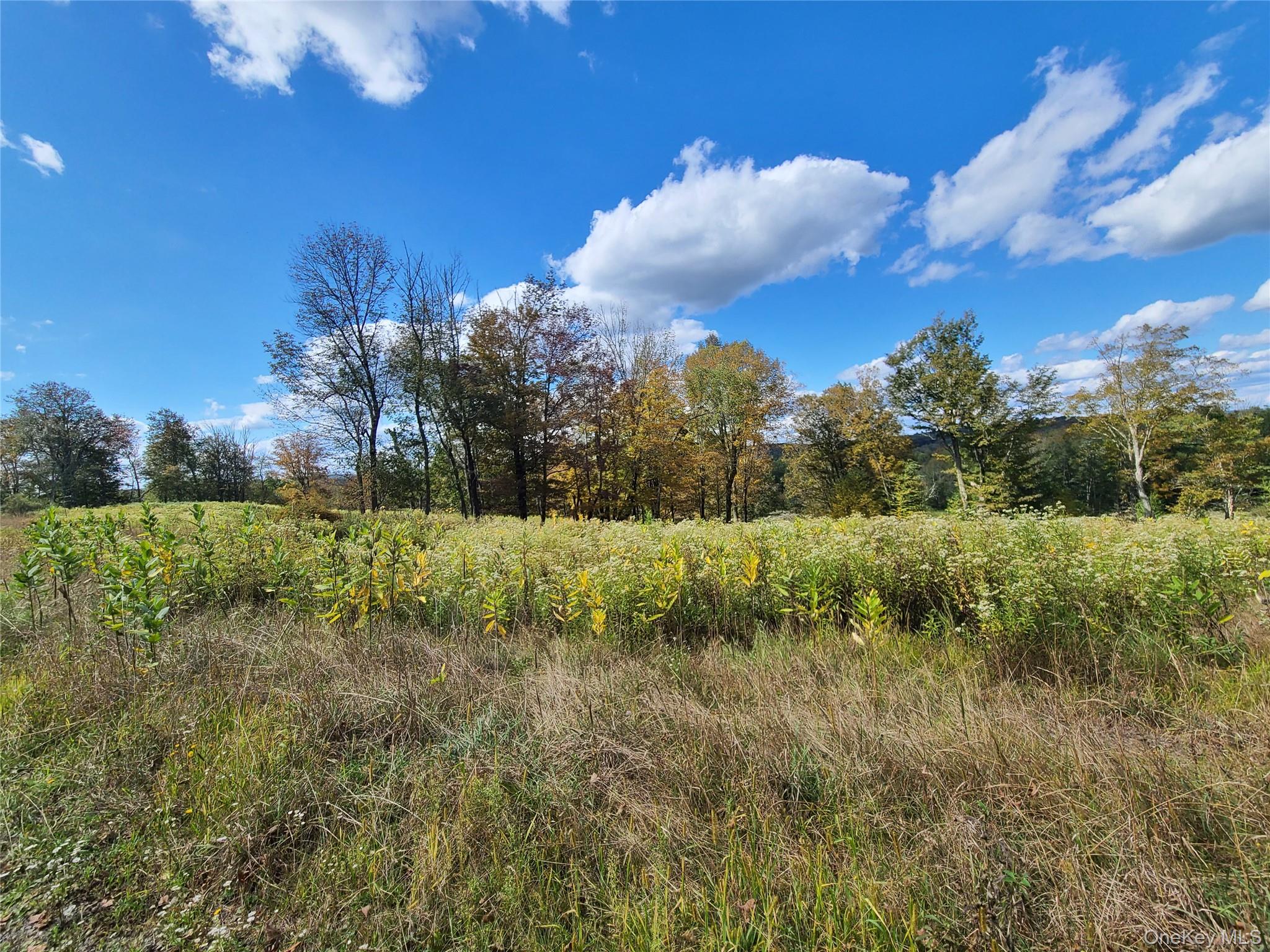 118 Hilltop Road Property Photo 21