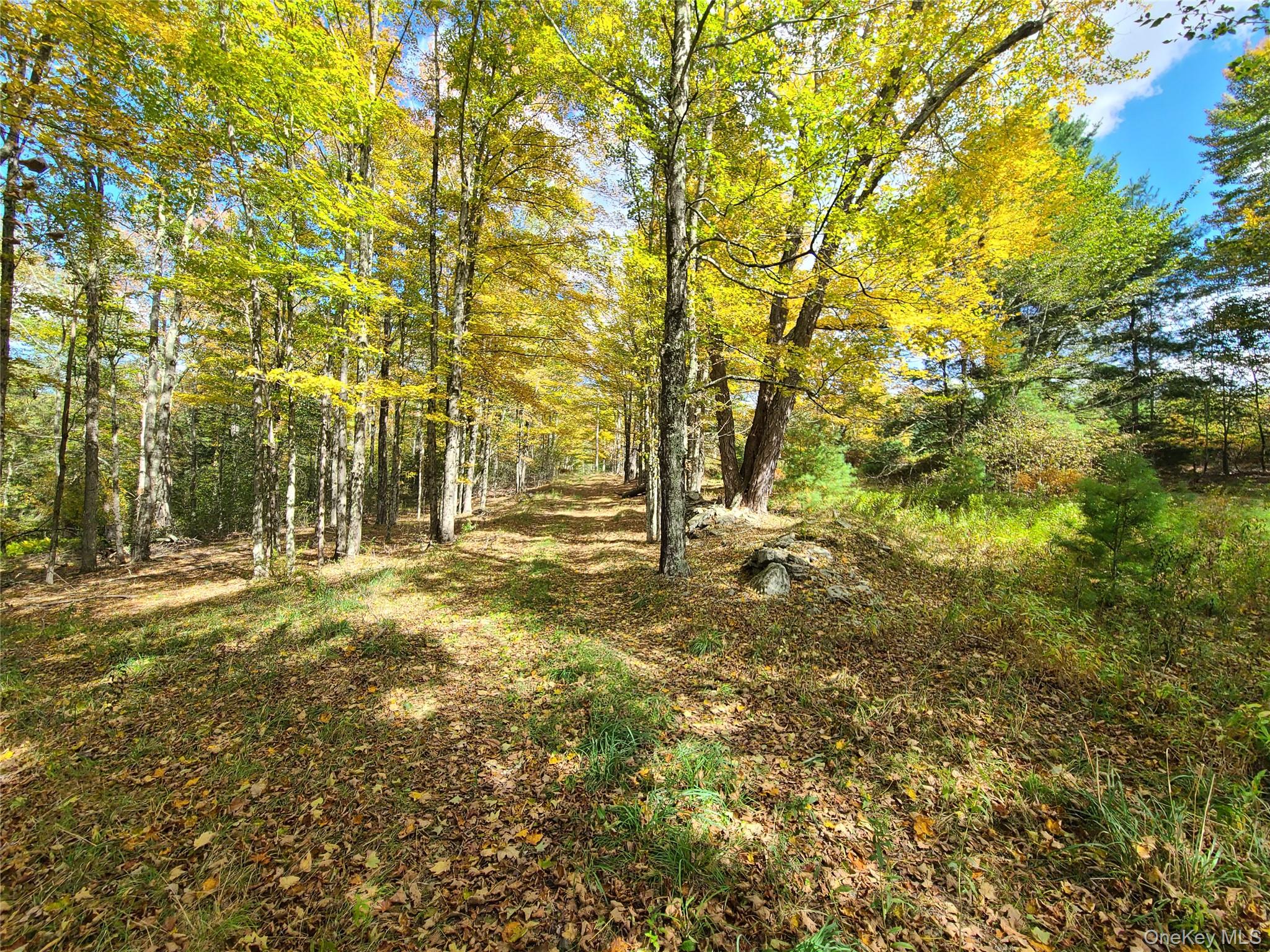 118 Hilltop Road Property Photo 22
