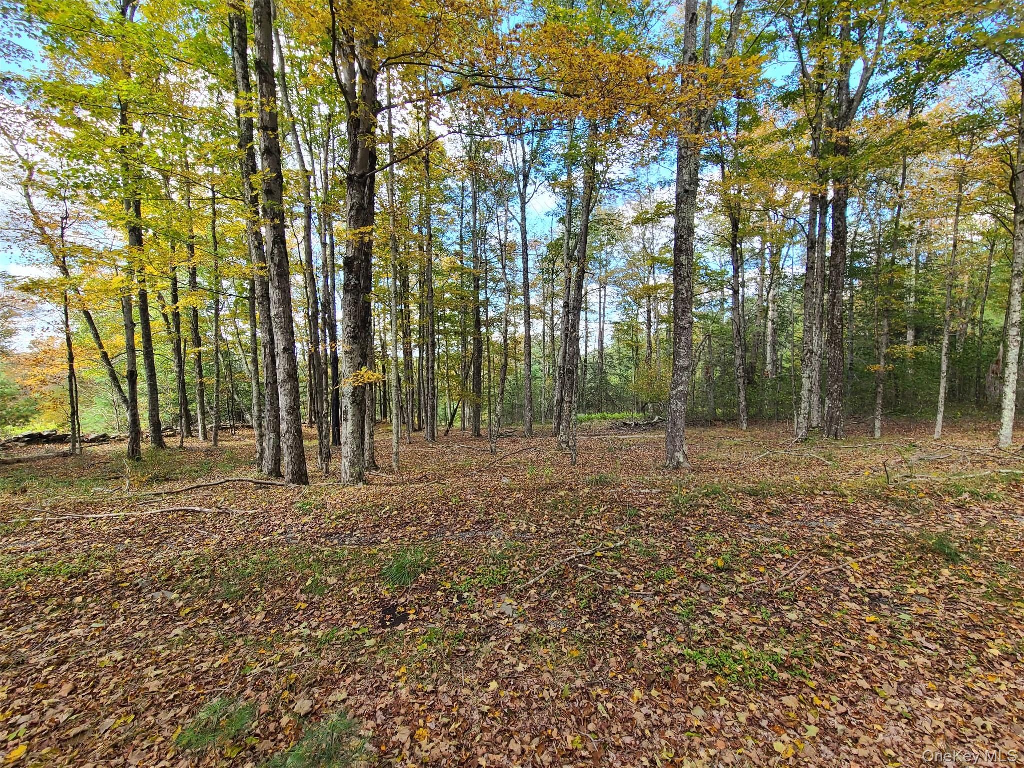 118 Hilltop Road Property Photo 24