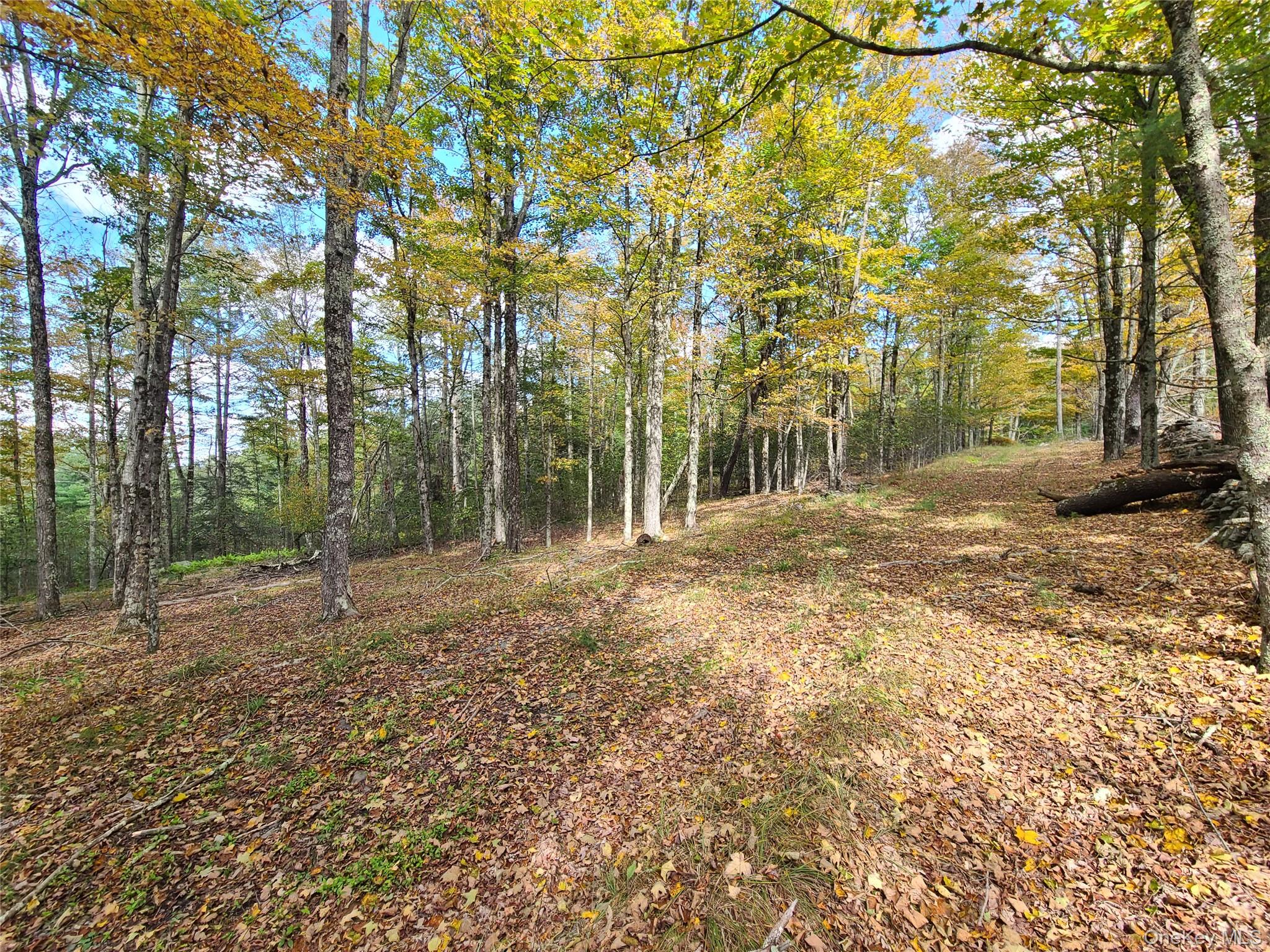 118 Hilltop Road Property Photo 25