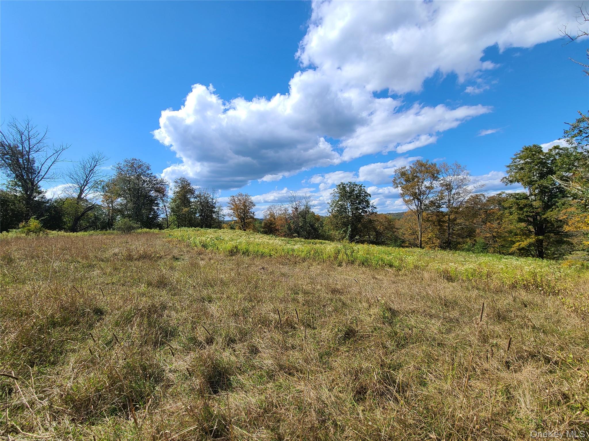 118 Hilltop Road Property Photo 28