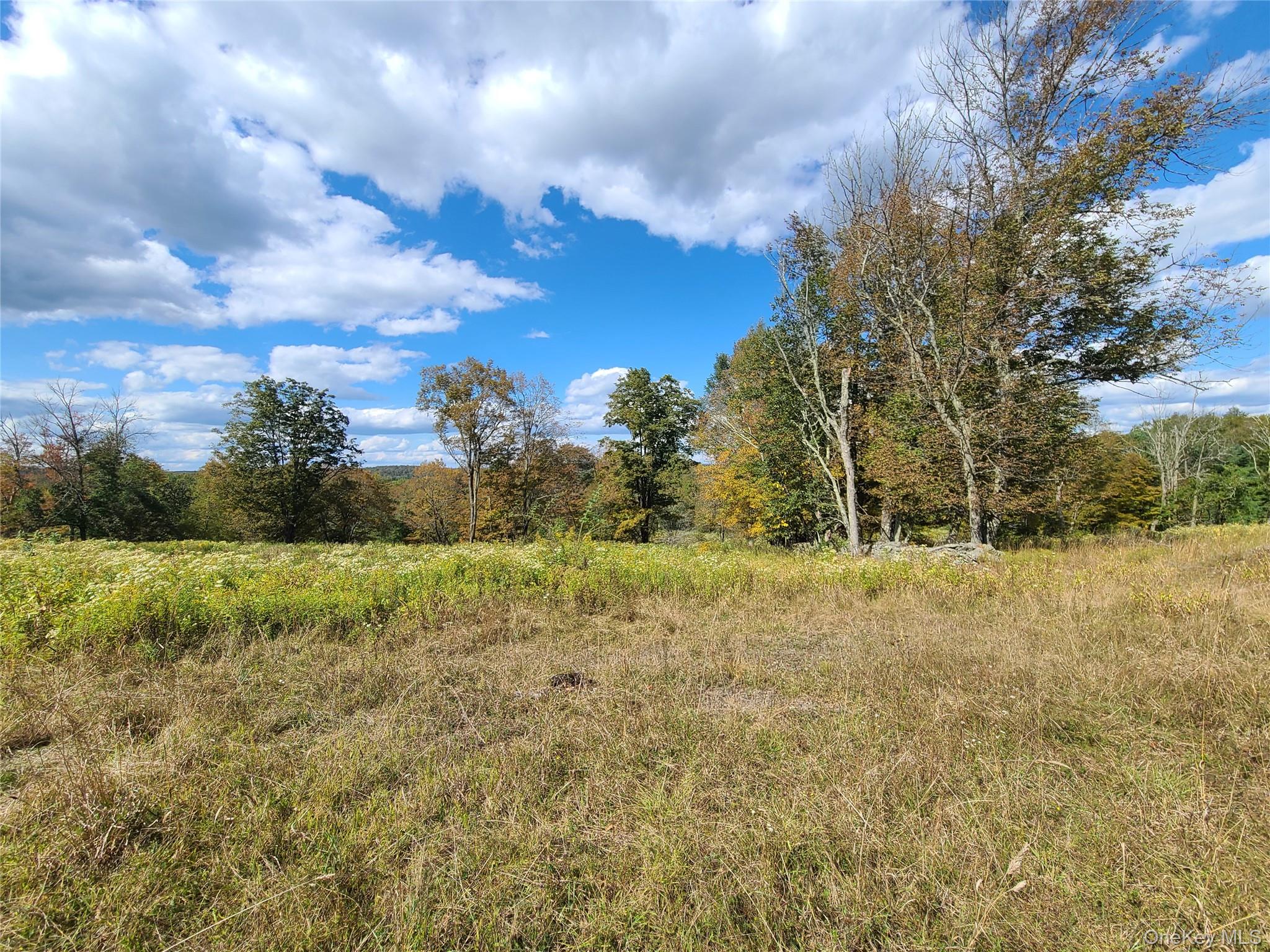 118 Hilltop Road Property Photo 29
