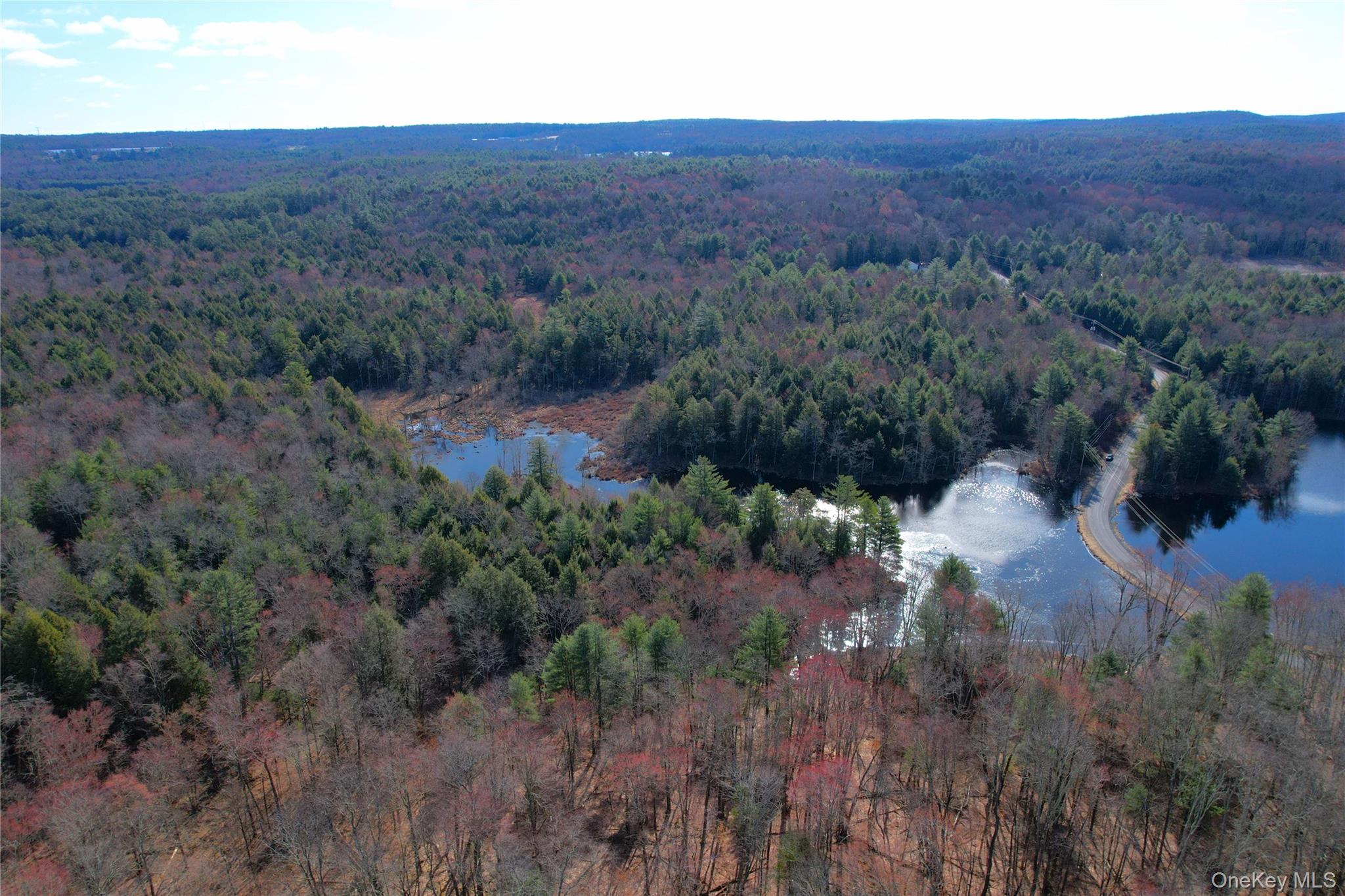 118 Hilltop Road Property Photo 42