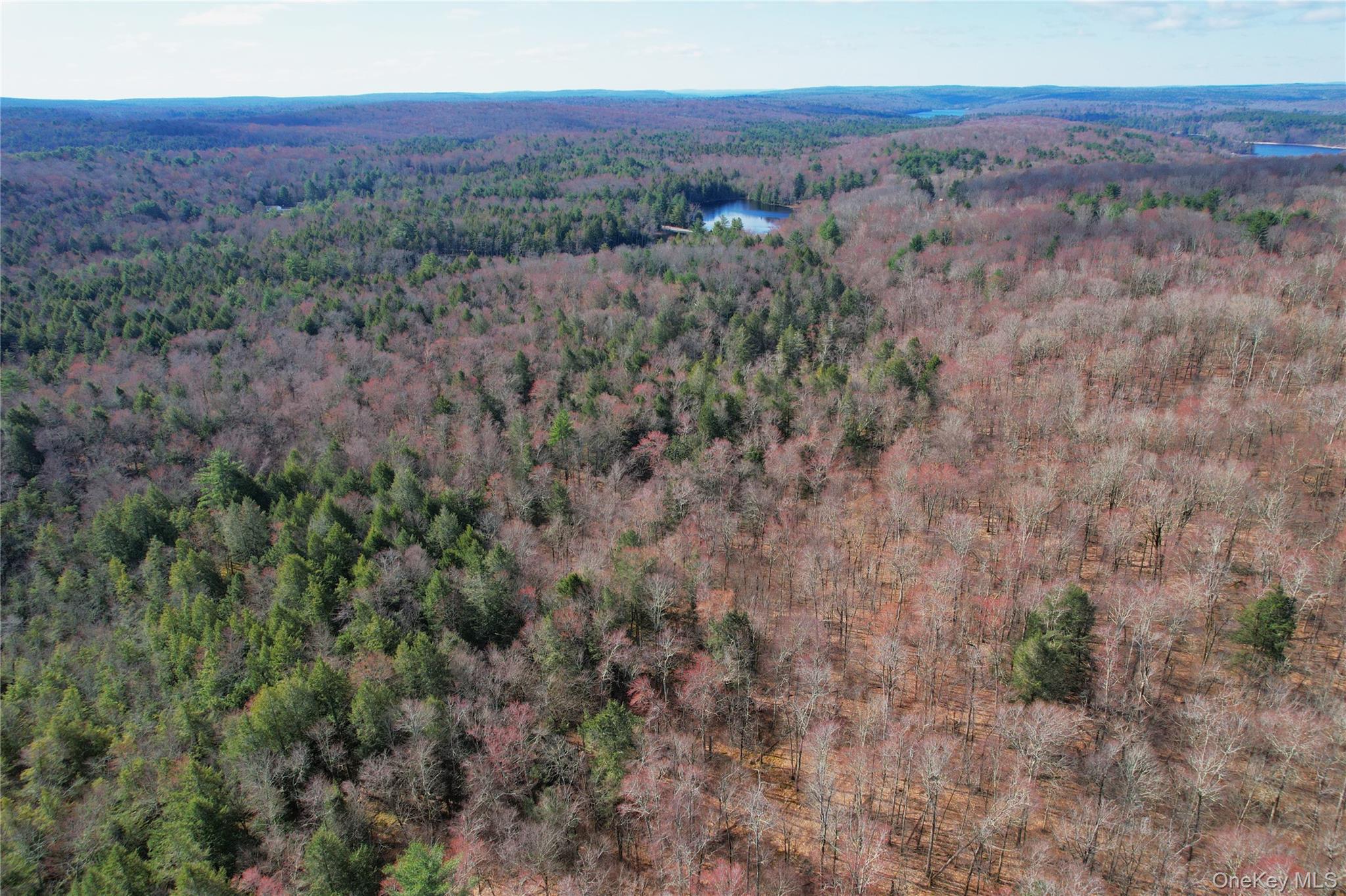 118 Hilltop Road Property Photo 43