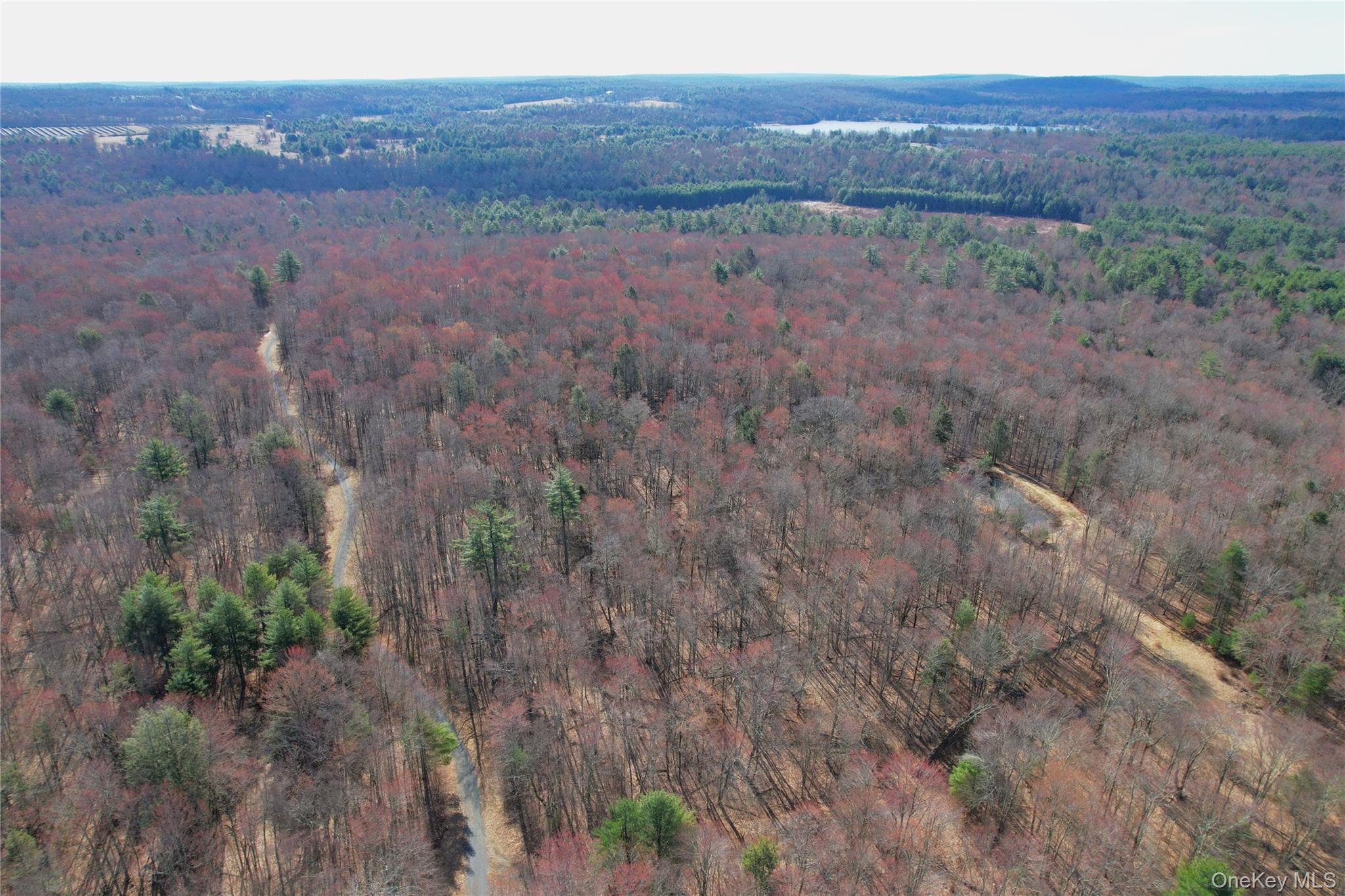 118 Hilltop Road Property Photo 48