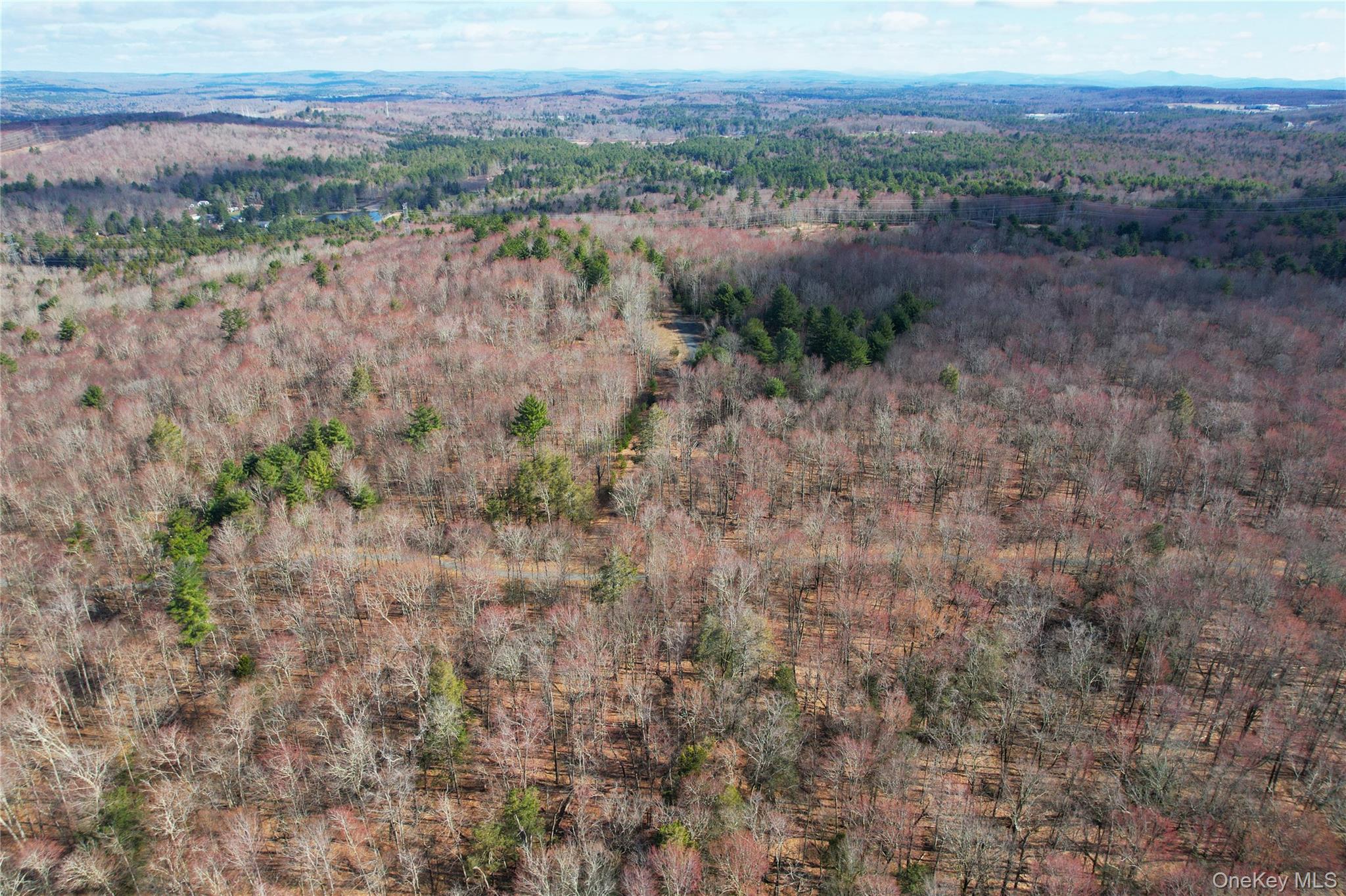 118 Hilltop Road Property Photo 49