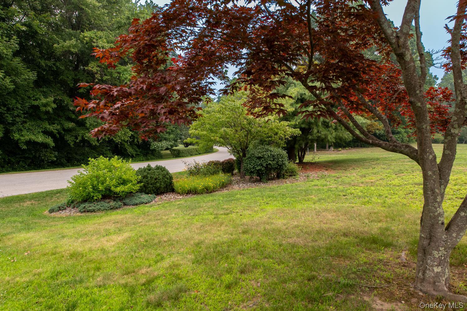 100 Rockledge Drive Property Photo 47