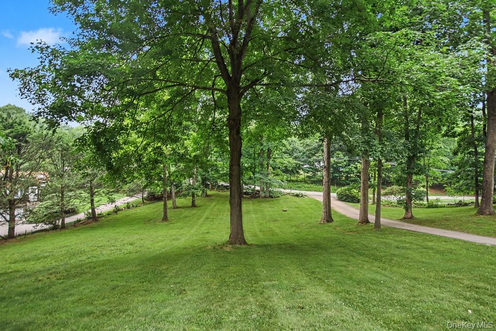 59 Cuddy Road Property Photo 8