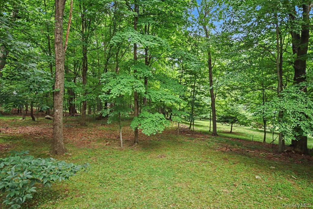 59 Cuddy Road Property Photo 10