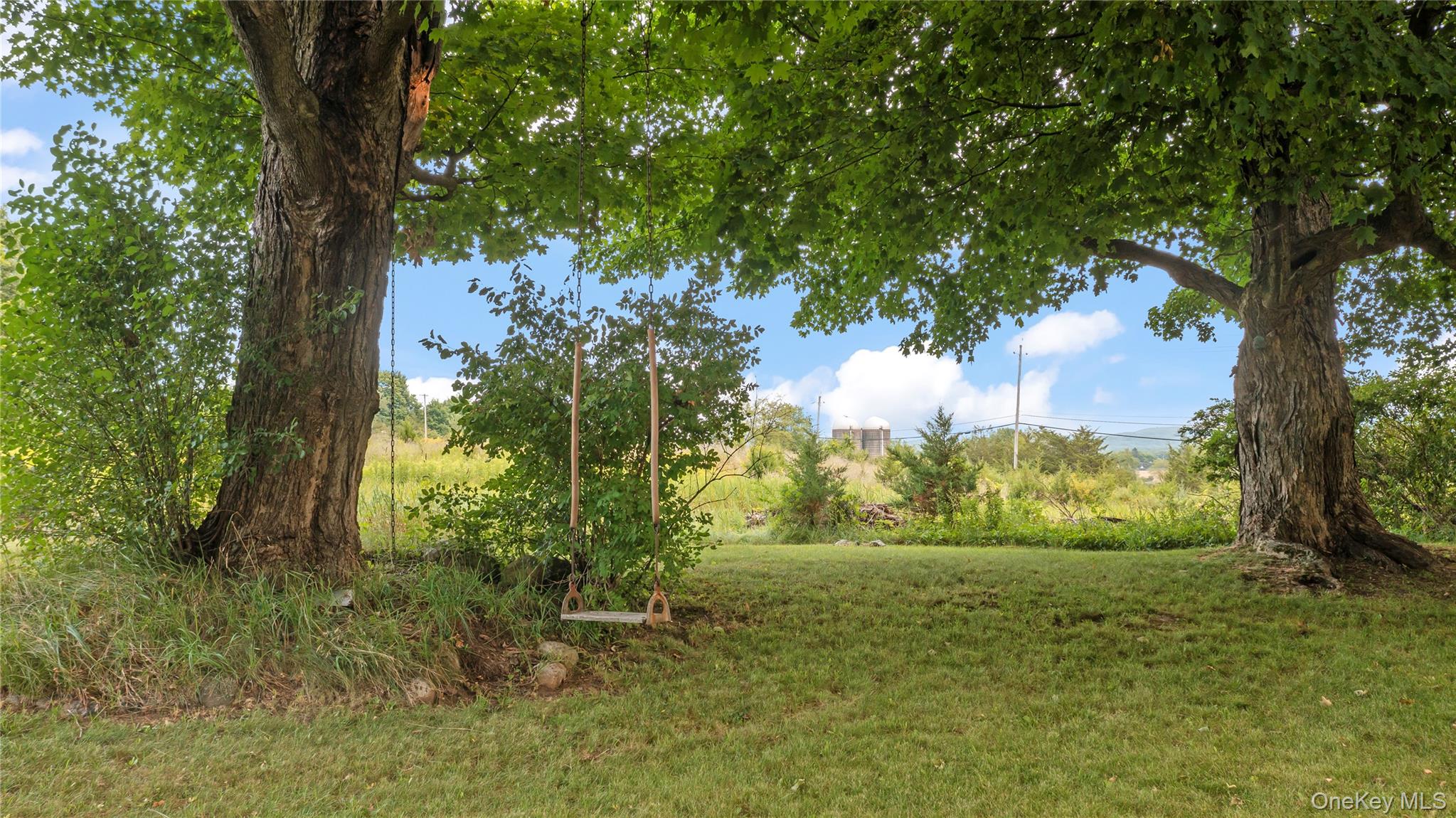 333 County Road 9 Property Photo 17