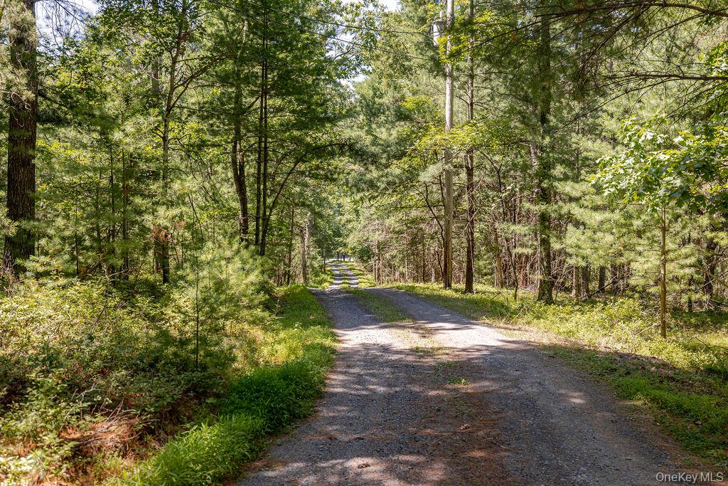 490 Peak Road Property Photo 35