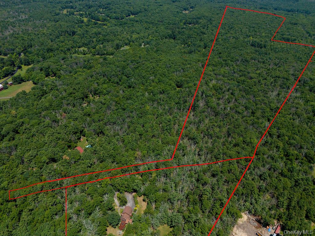 490 Peak Road Property Photo 37