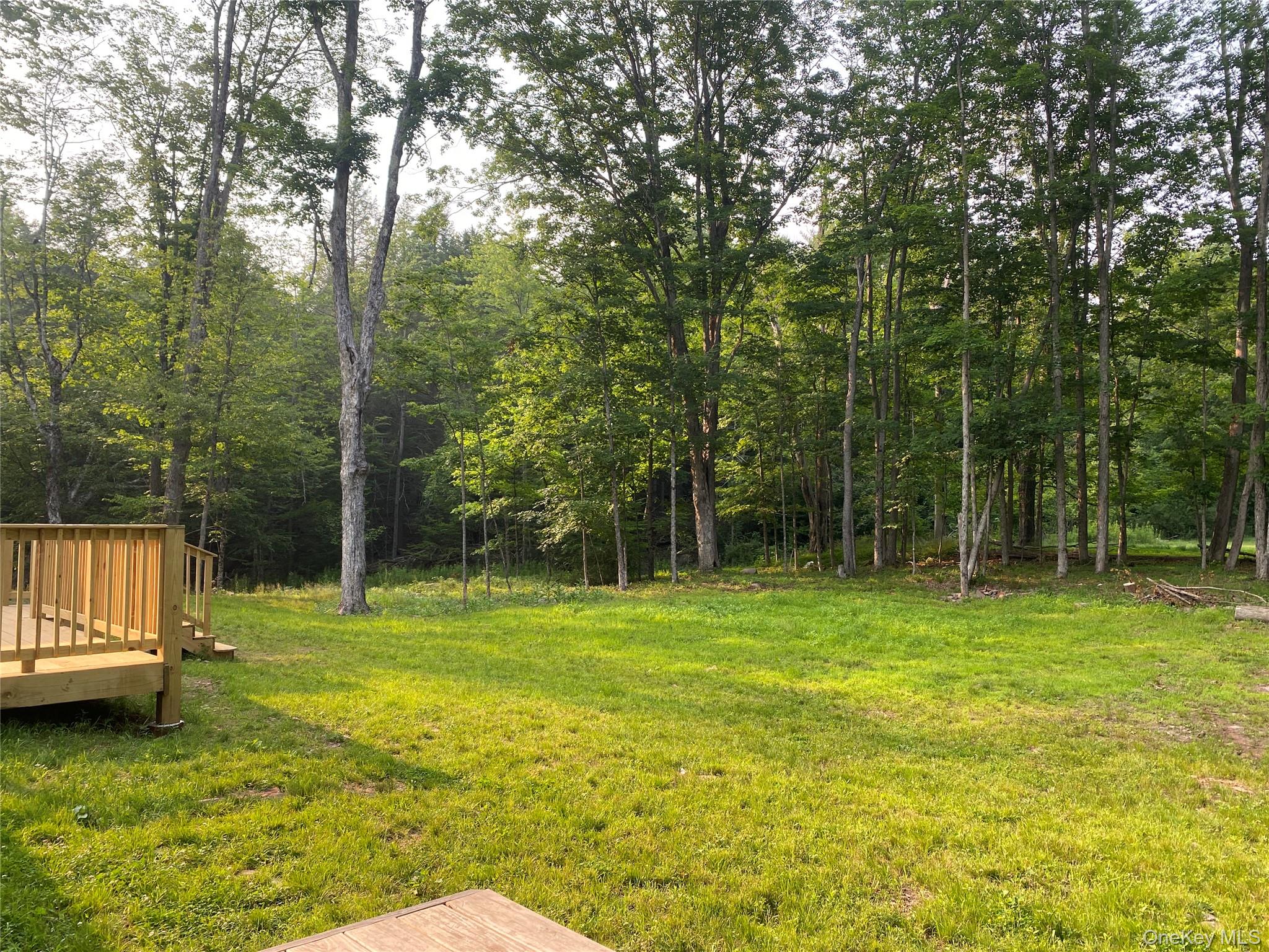 159 Park Lane Property Photo 3
