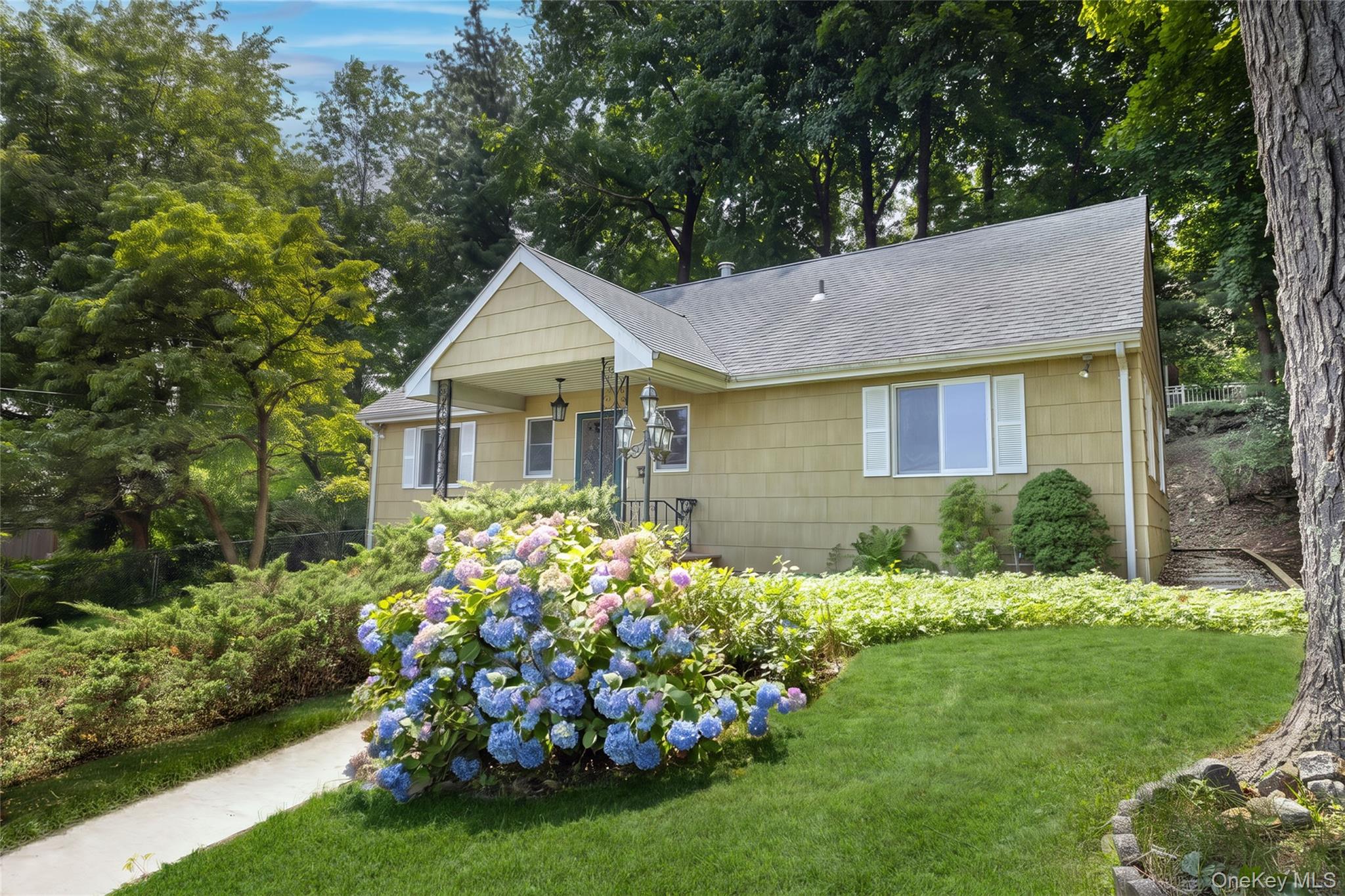 64 Bradley Street Property Photo 1