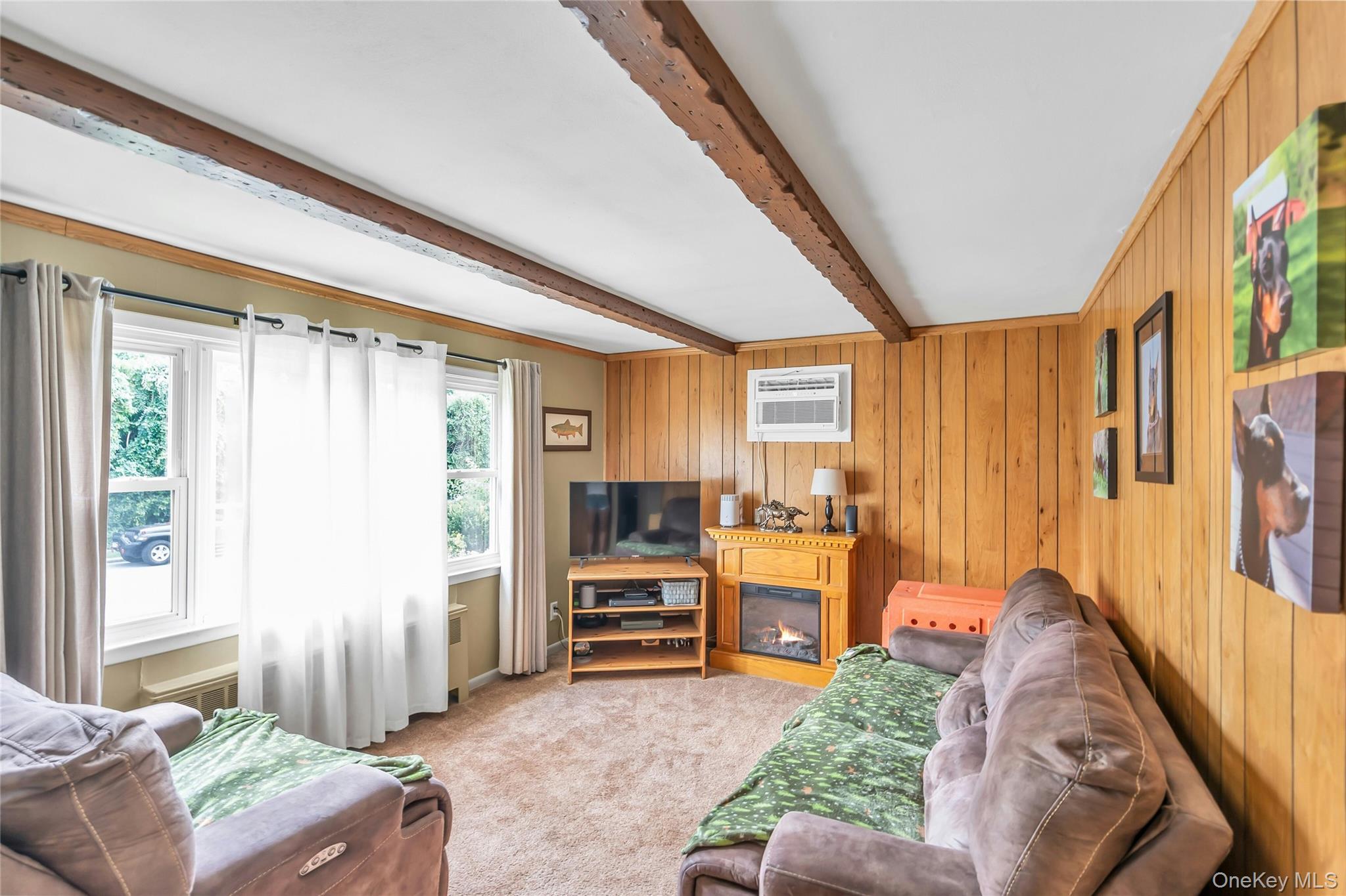 209 Iceland Drive Property Photo 14