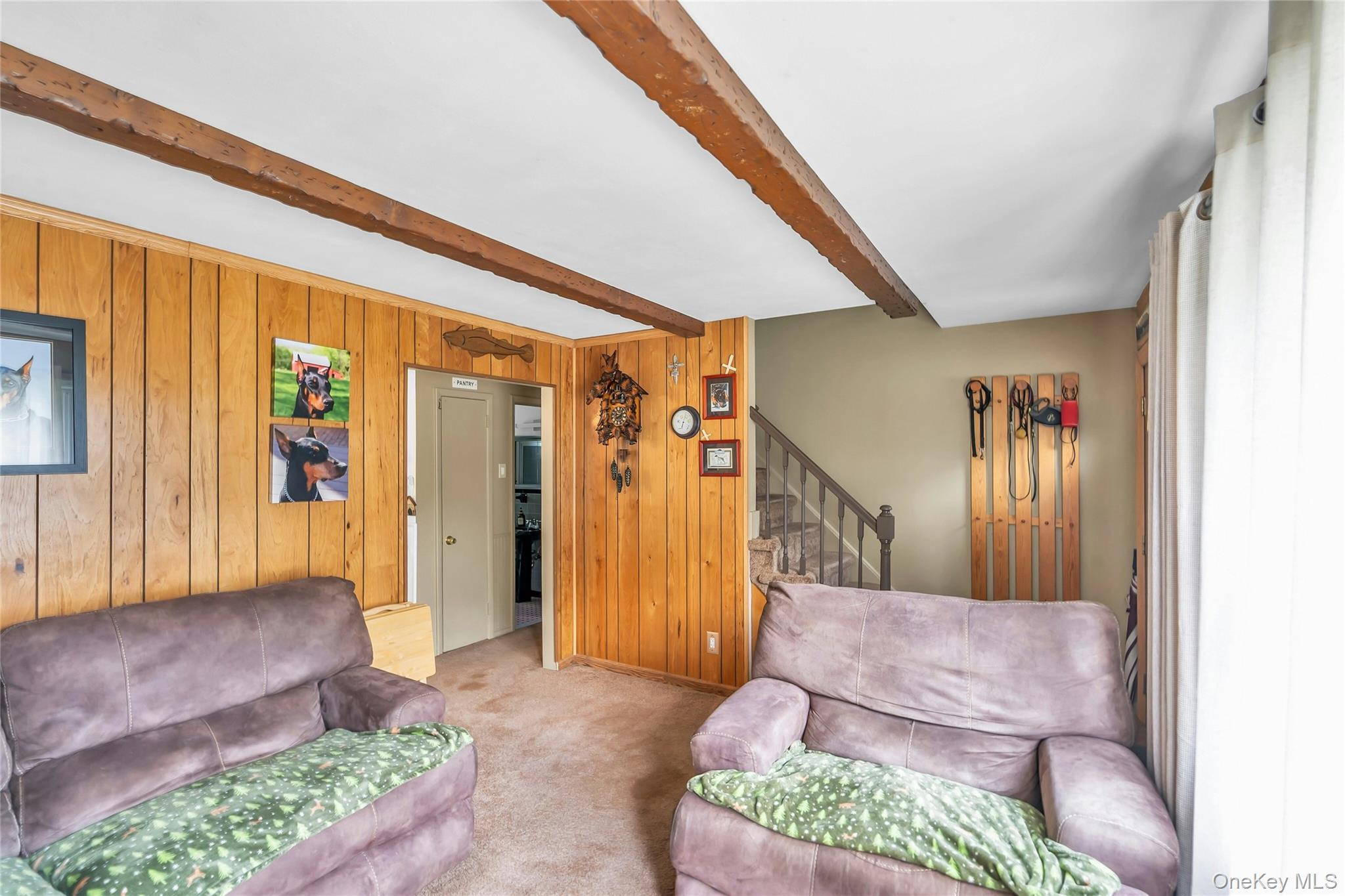 209 Iceland Drive Property Photo 15