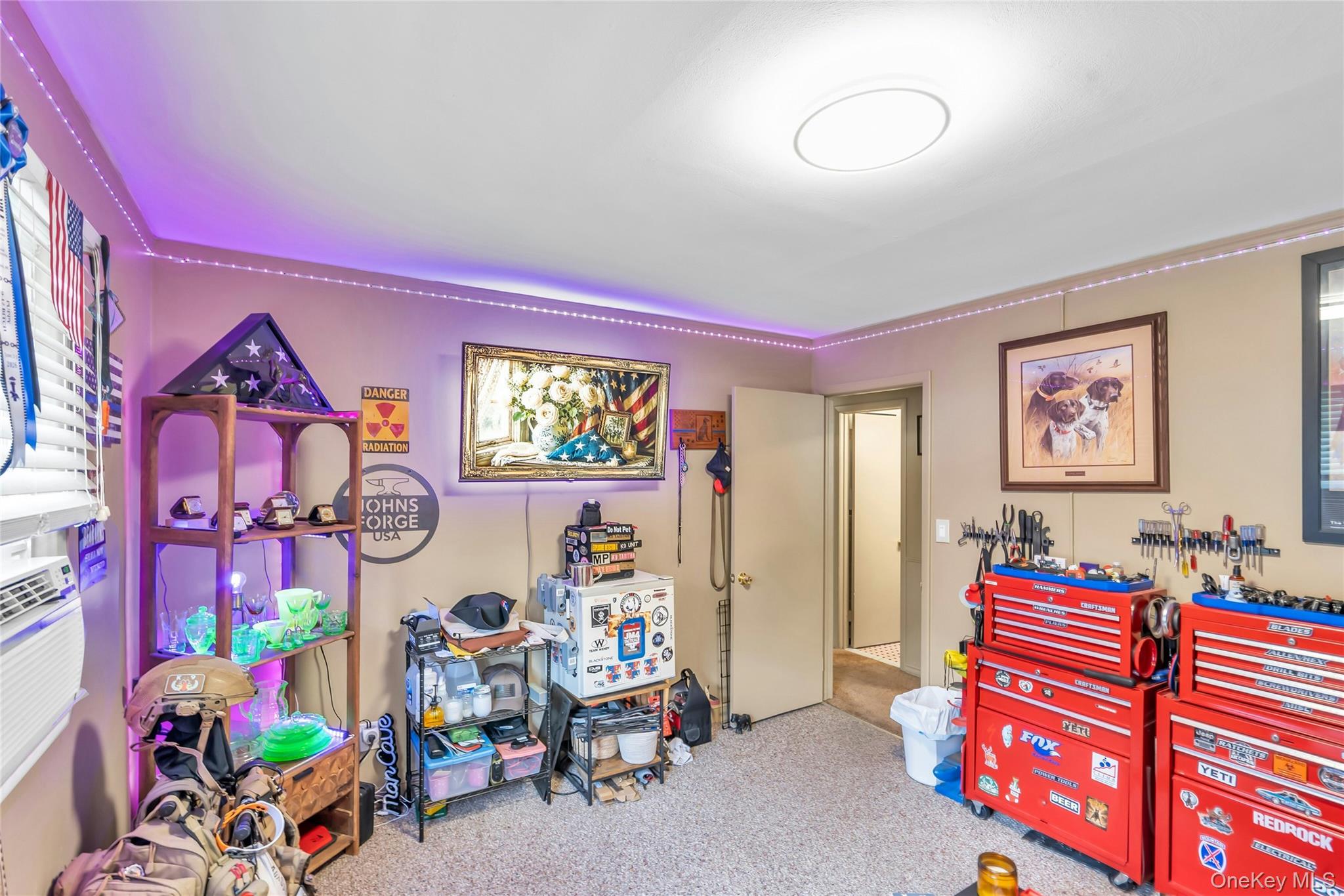 209 Iceland Drive Property Photo 17
