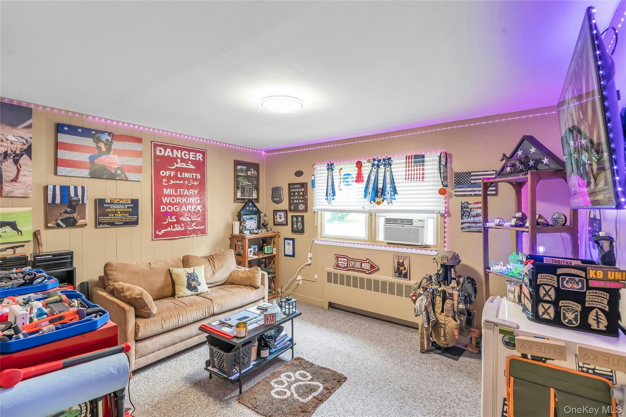 209 Iceland Drive Property Photo 18