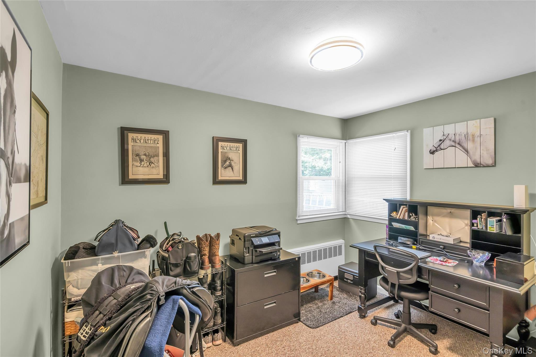 209 Iceland Drive Property Photo 19
