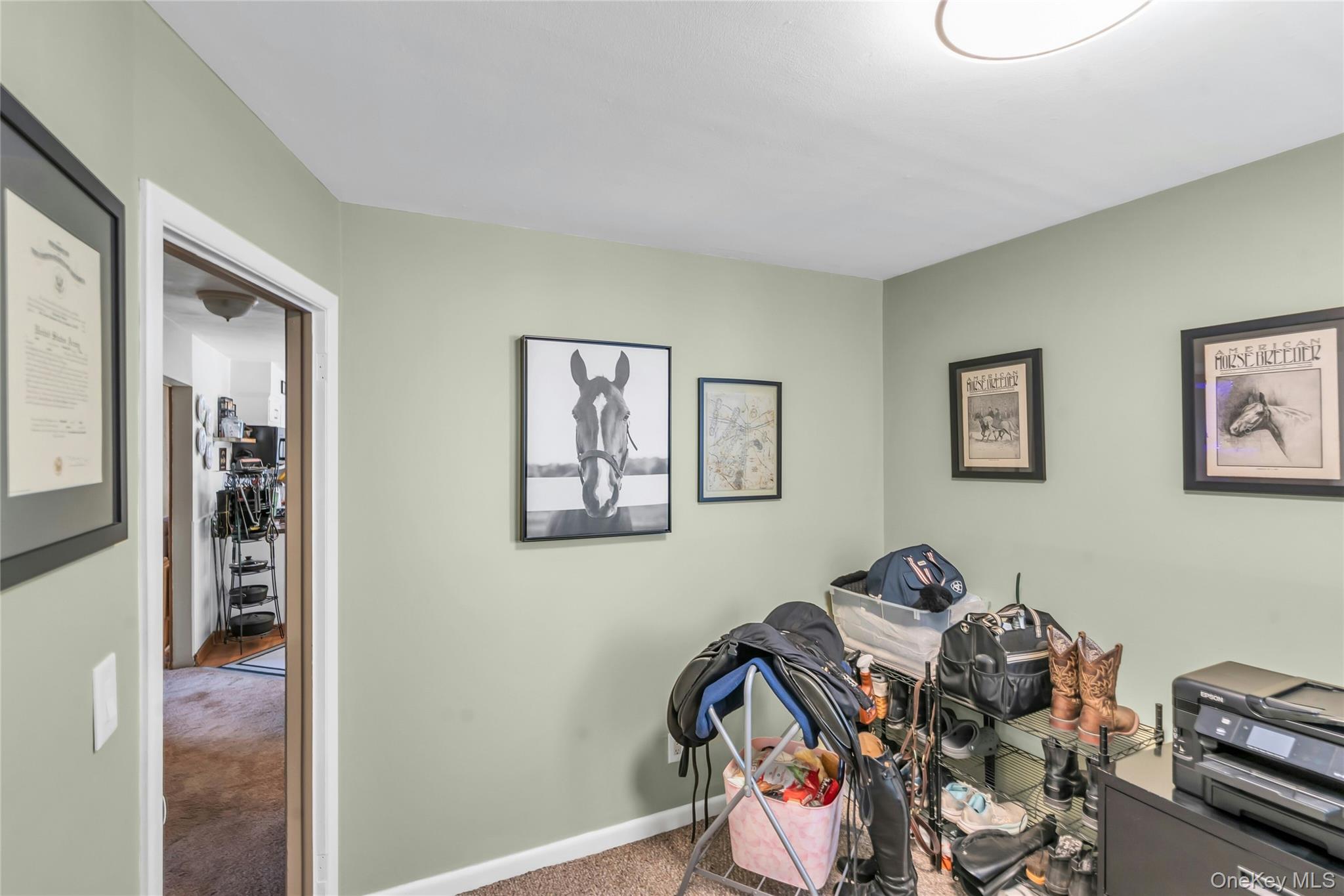 209 Iceland Drive Property Photo 20