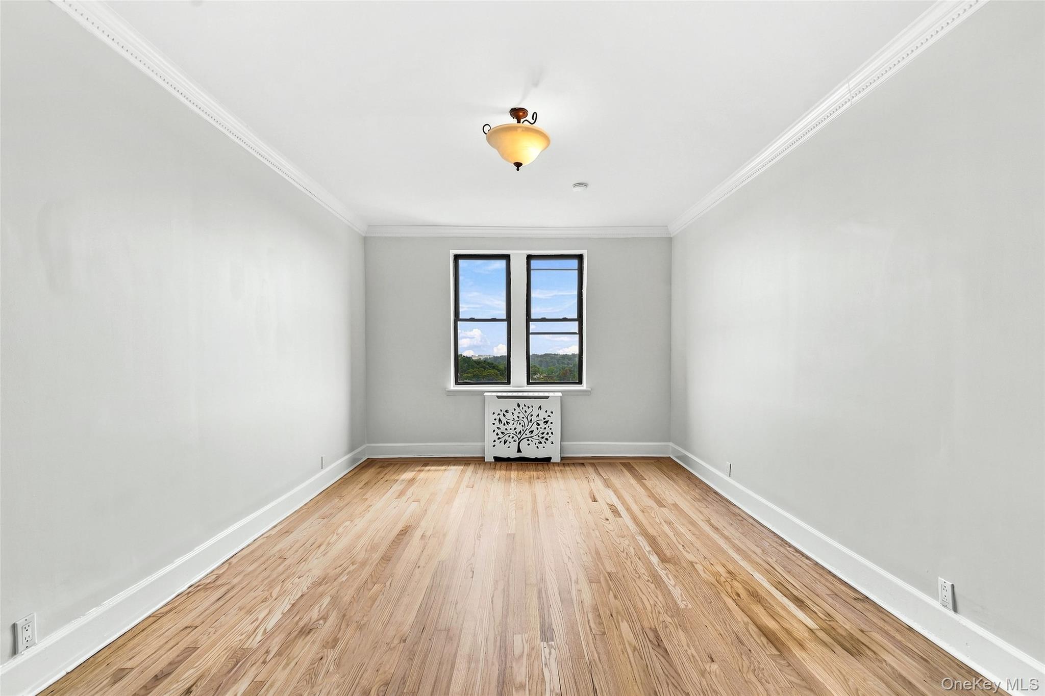 11 Alden Road 5l Property Photo 11