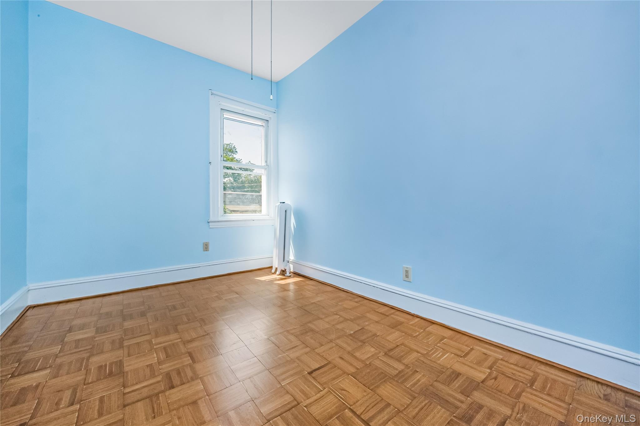 78-12 64th Street Property Photo 8