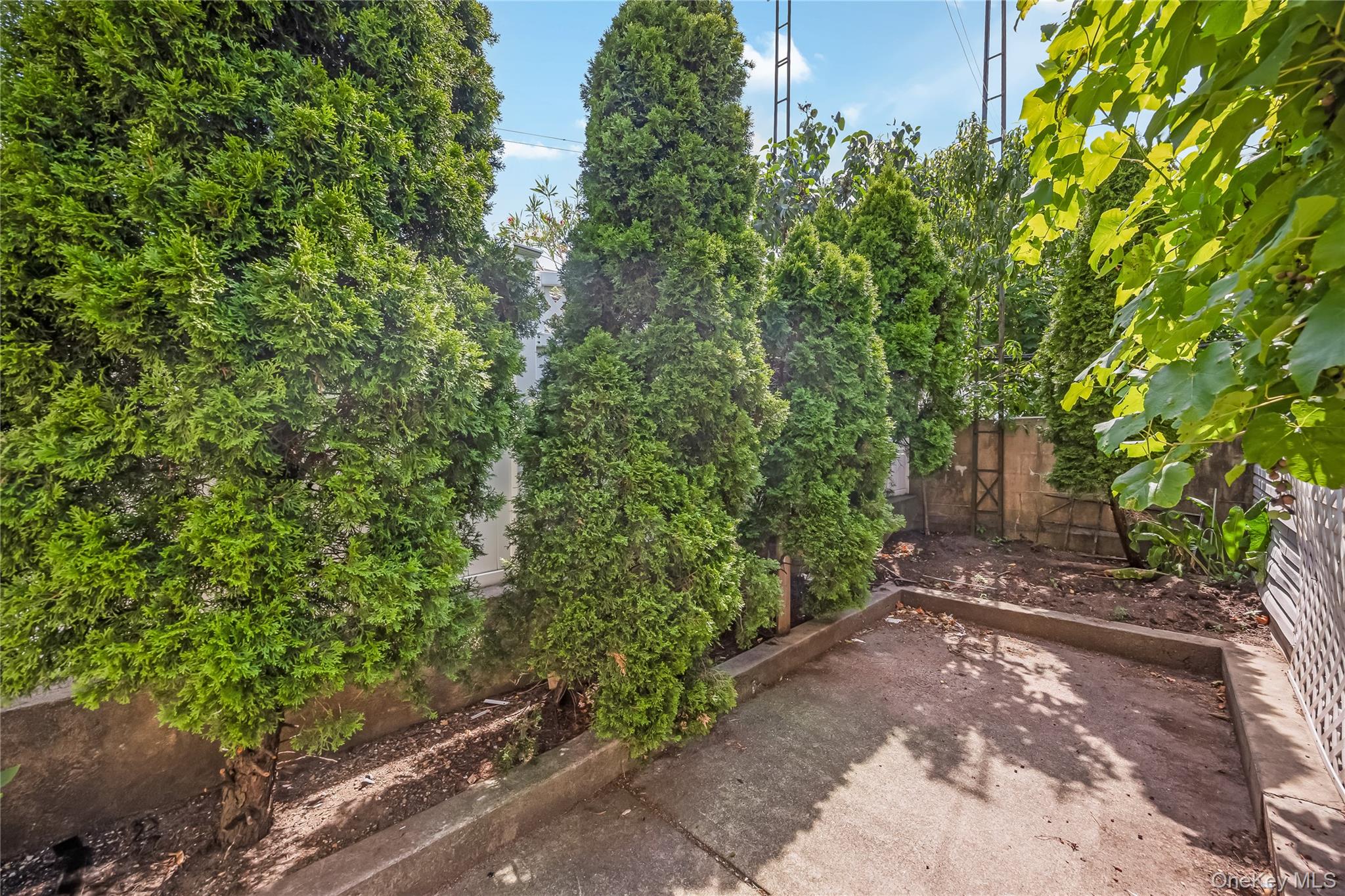 78-12 64th Street Property Photo 30
