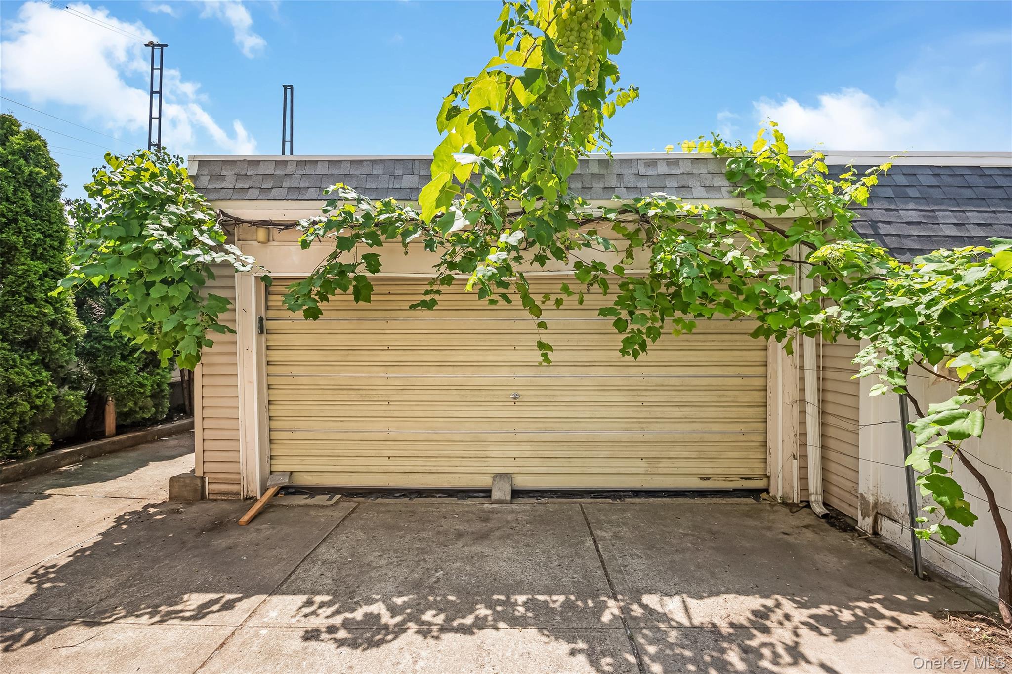 78-12 64th Street Property Photo 31