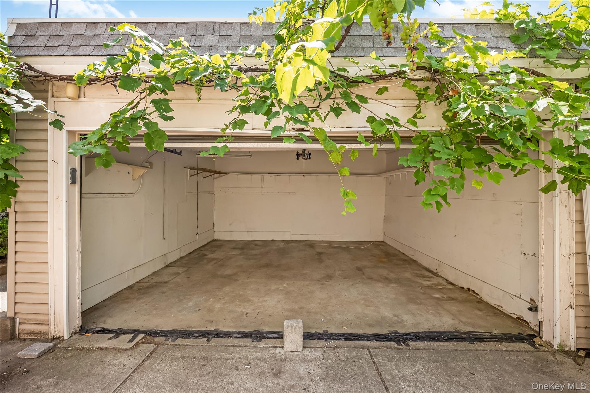 78-12 64th Street Property Photo 32