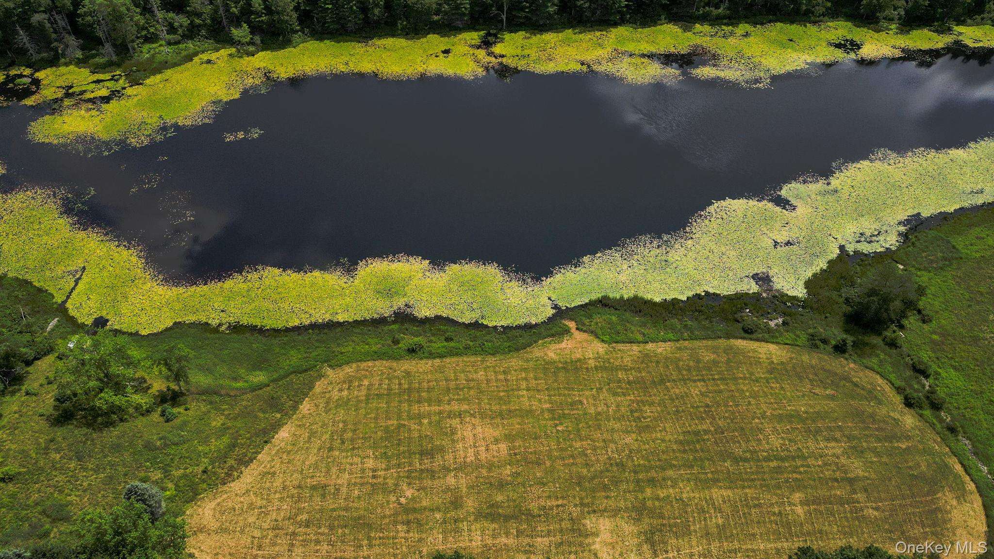 Lot 33 Black Lake Road Property Photo 8