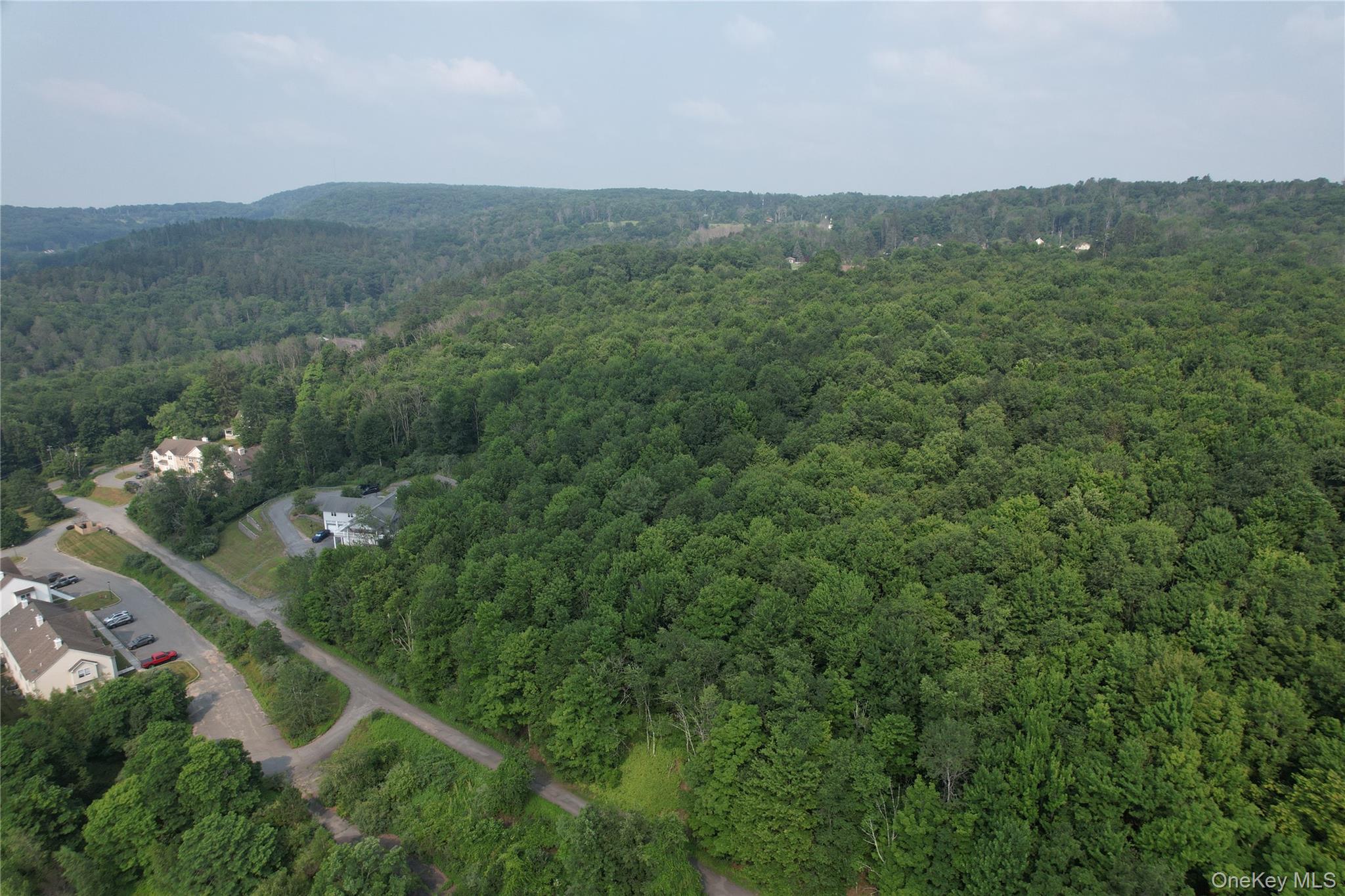 Tbd Timberwolf Road Property Photo 3