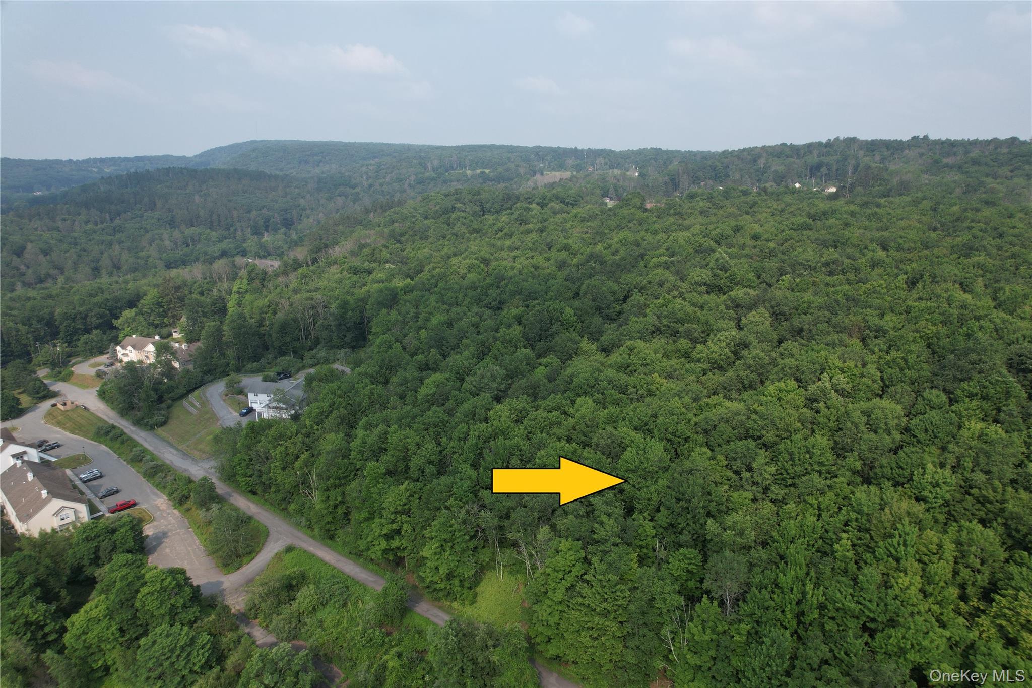 Tbd Timberwolf Road Property Photo 4