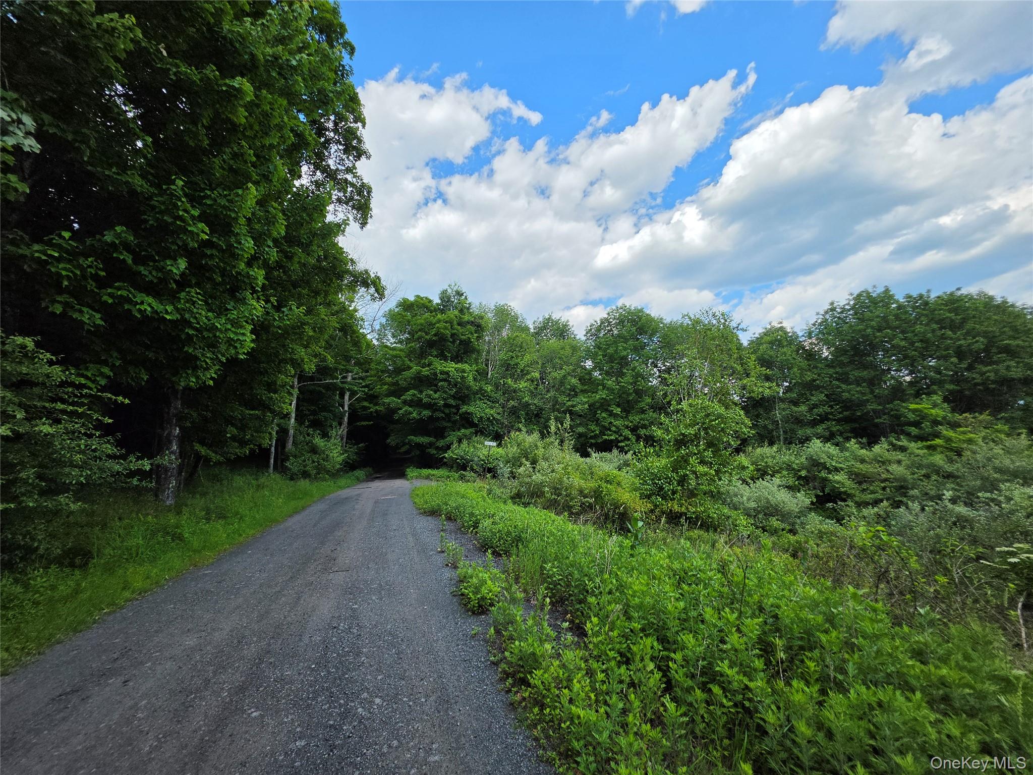 Tbd Timberwolf Road Property Photo 6