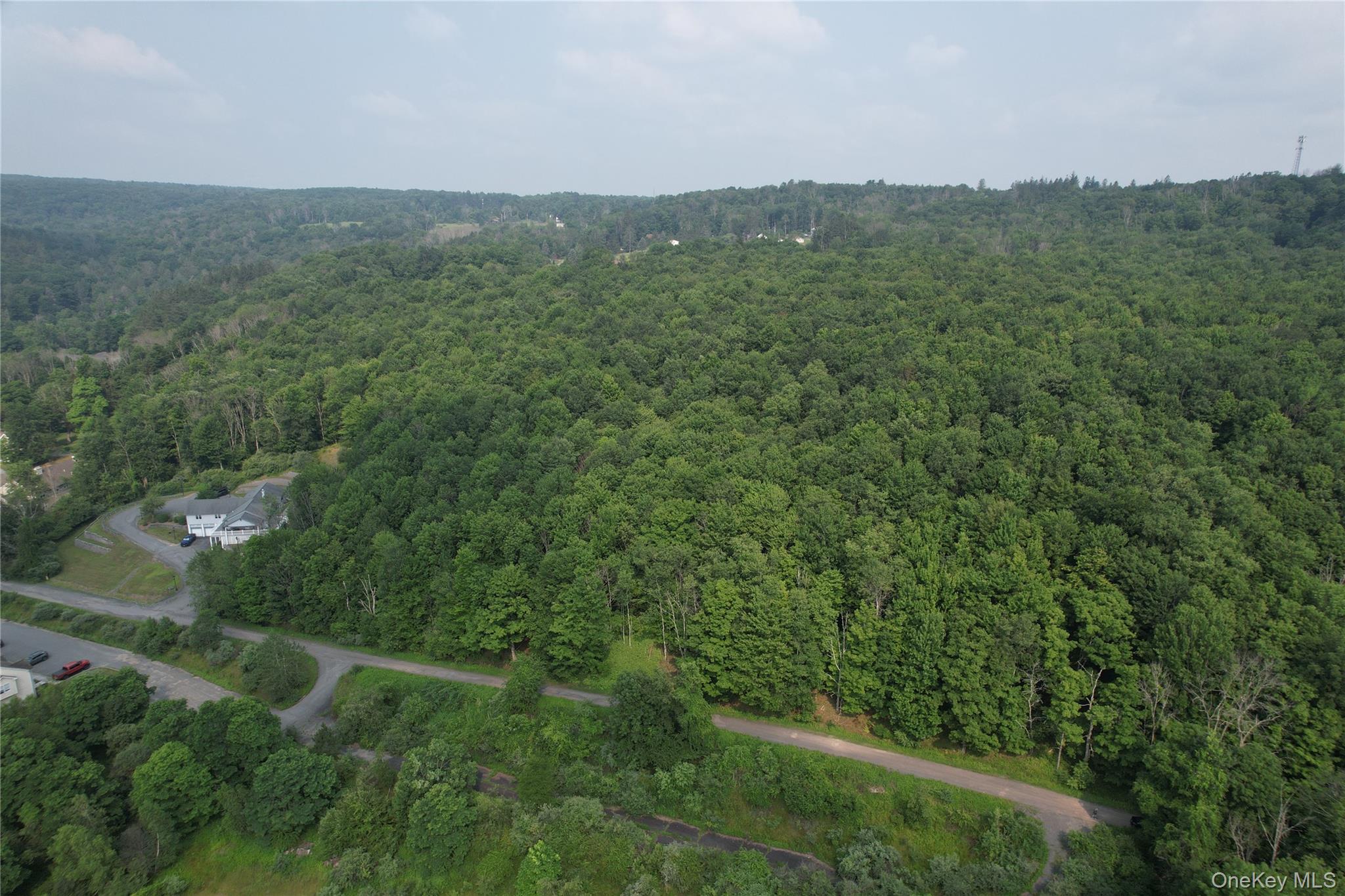 Tbd Timberwolf Road Property Photo 7