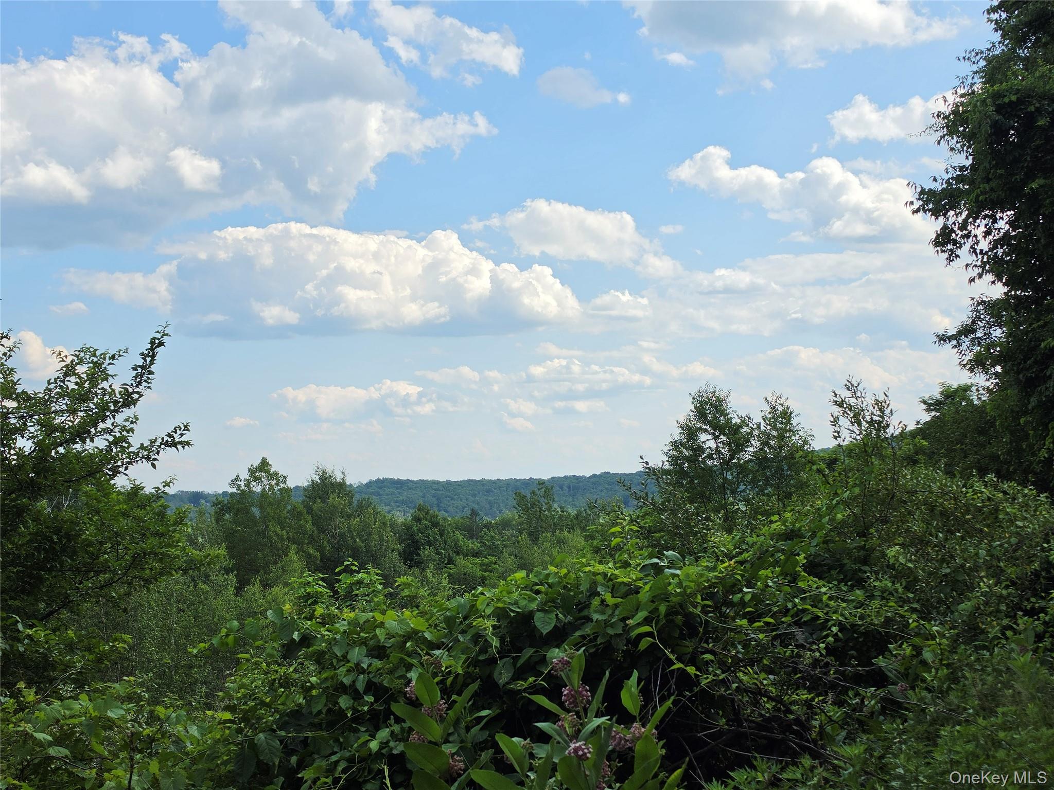Tbd Timberwolf Road Property Photo 12
