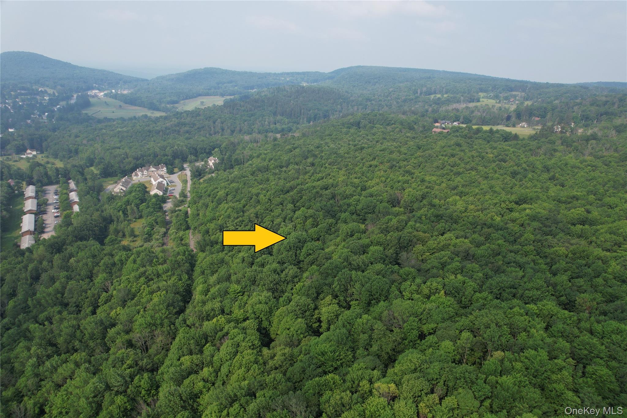 Tbd Timberwolf Road Property Photo 18