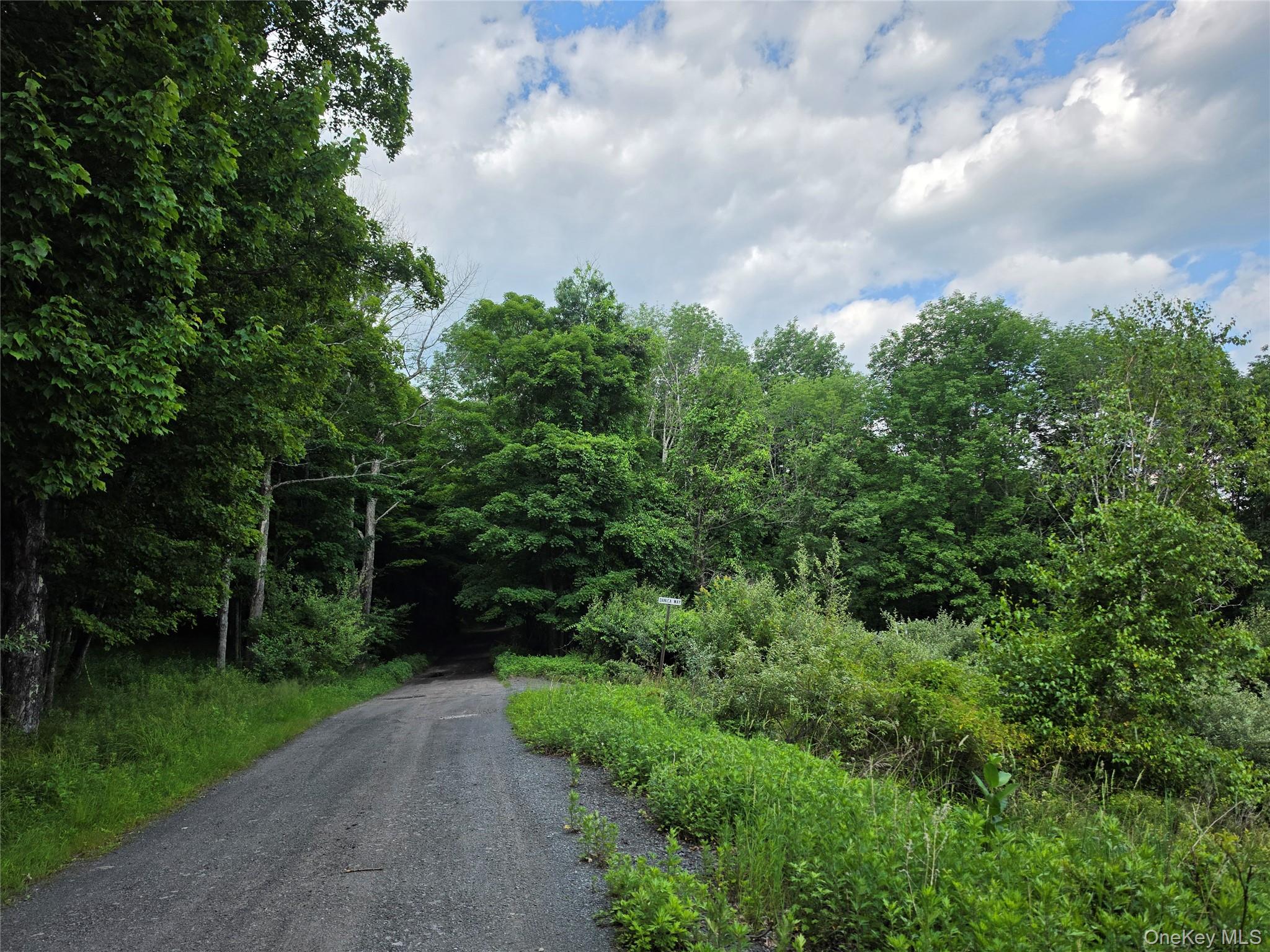 Tbd Timberwolf Road Property Photo 19