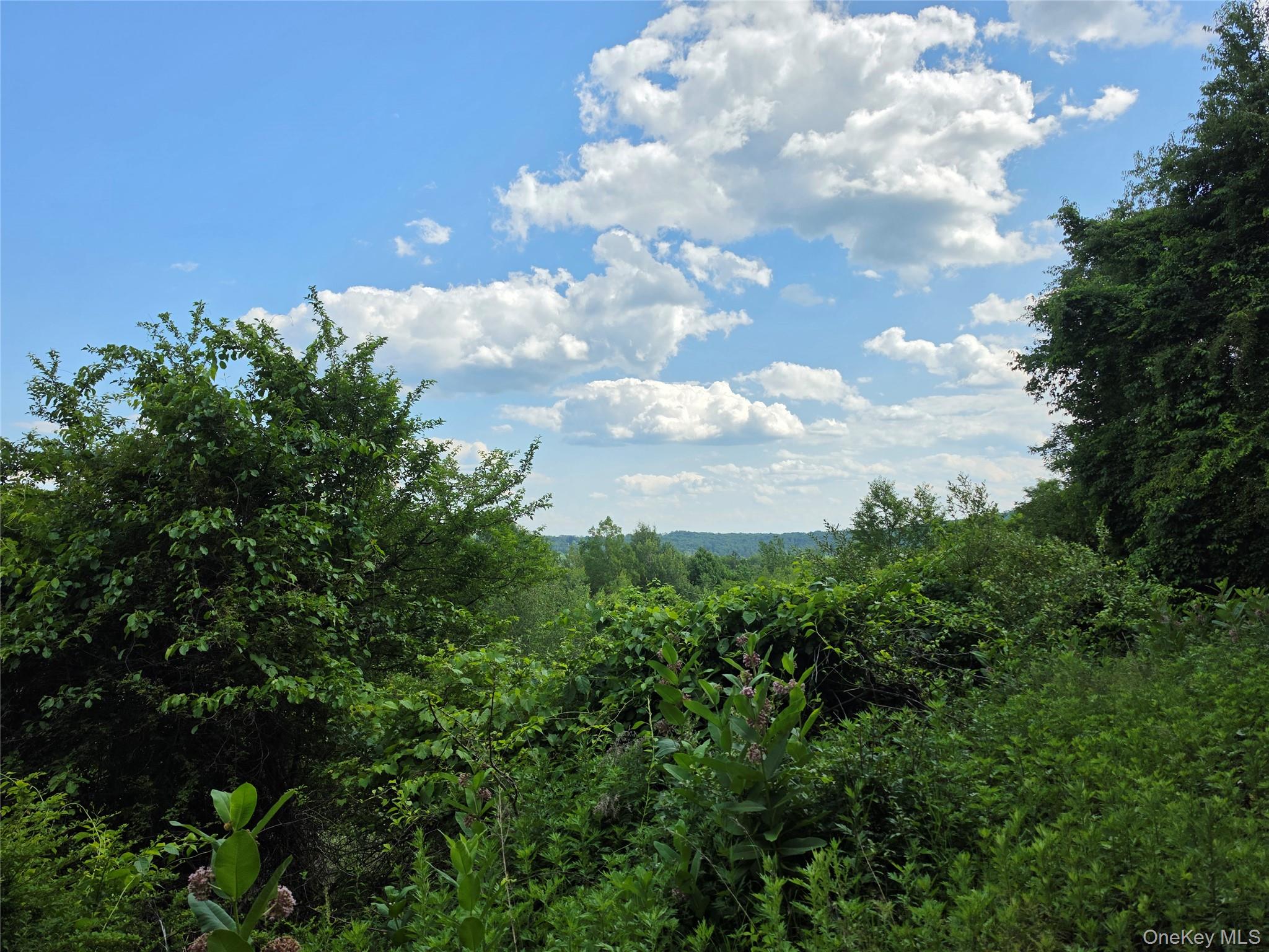 Tbd Timberwolf Road Property Photo 20