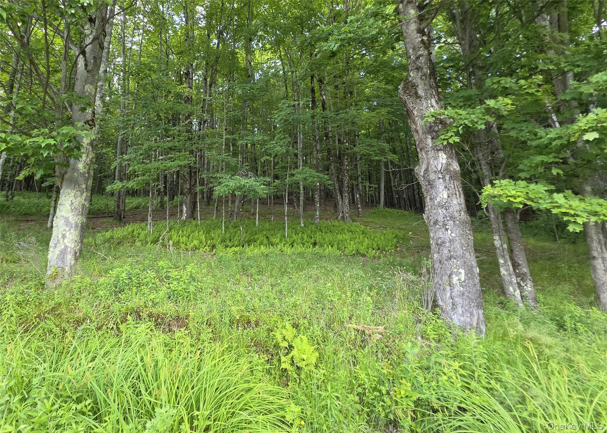 Tbd Timberwolf Road Property Photo 21