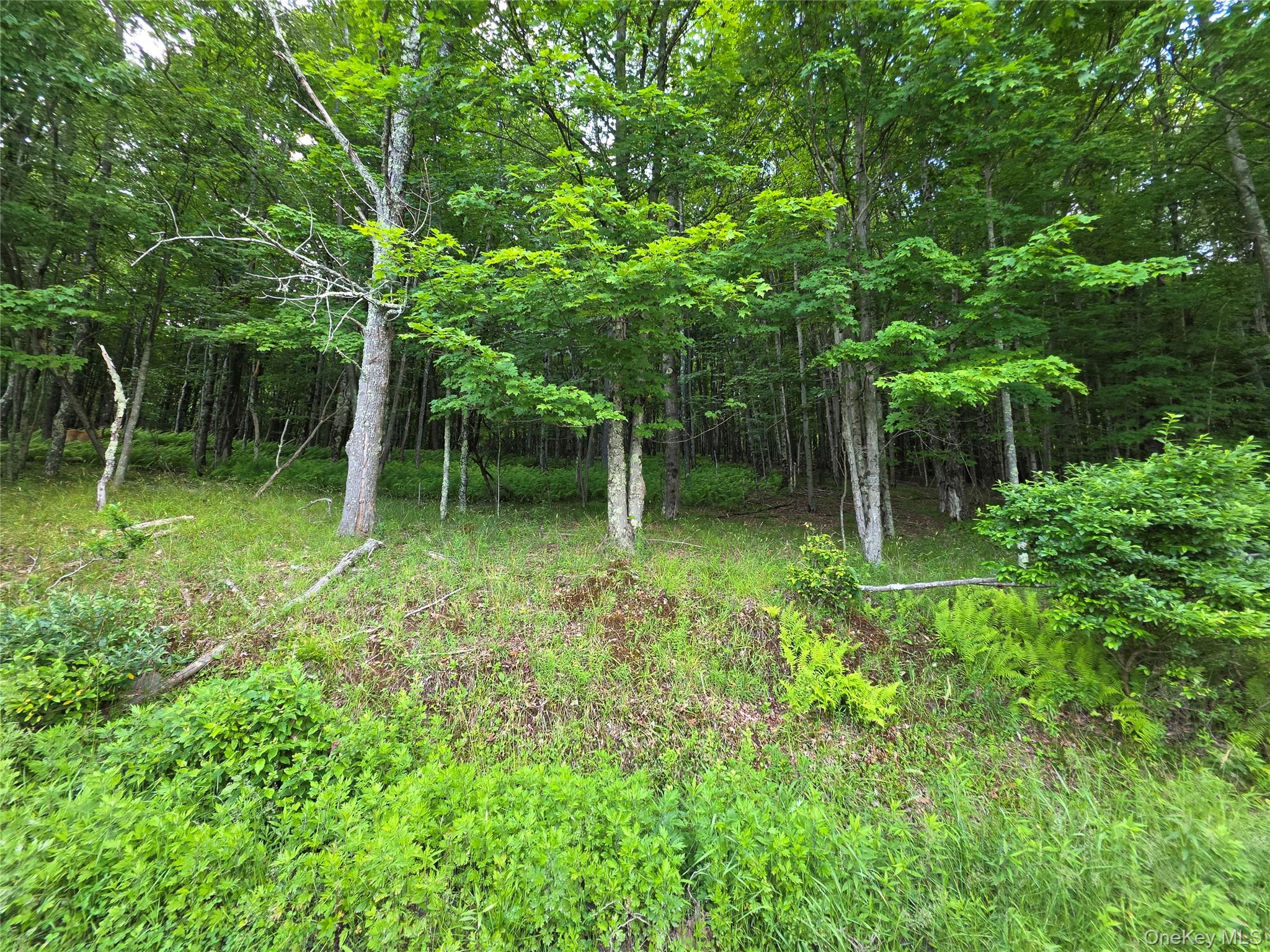 Tbd Timberwolf Road Property Photo 22
