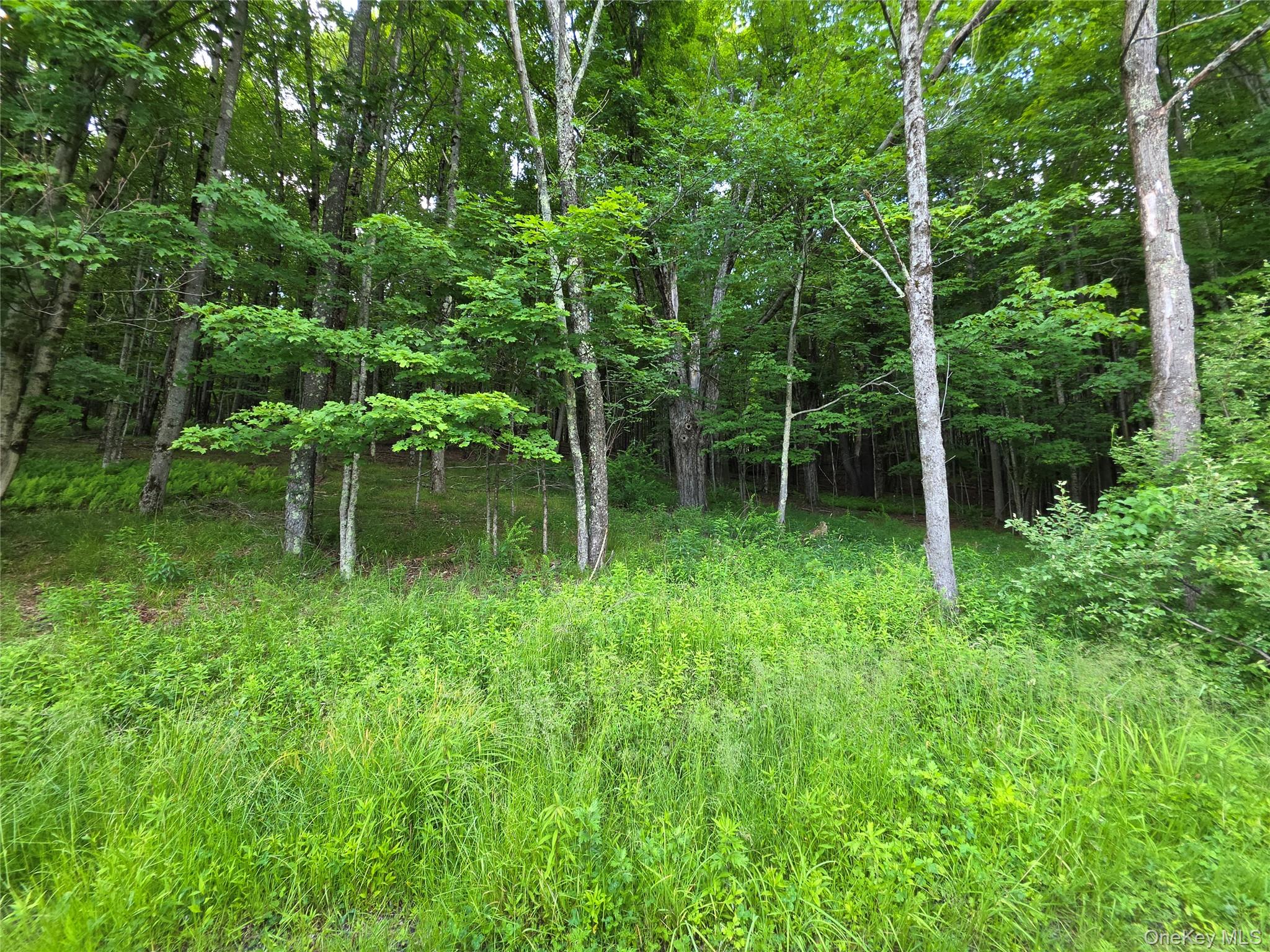 Tbd Timberwolf Road Property Photo 23