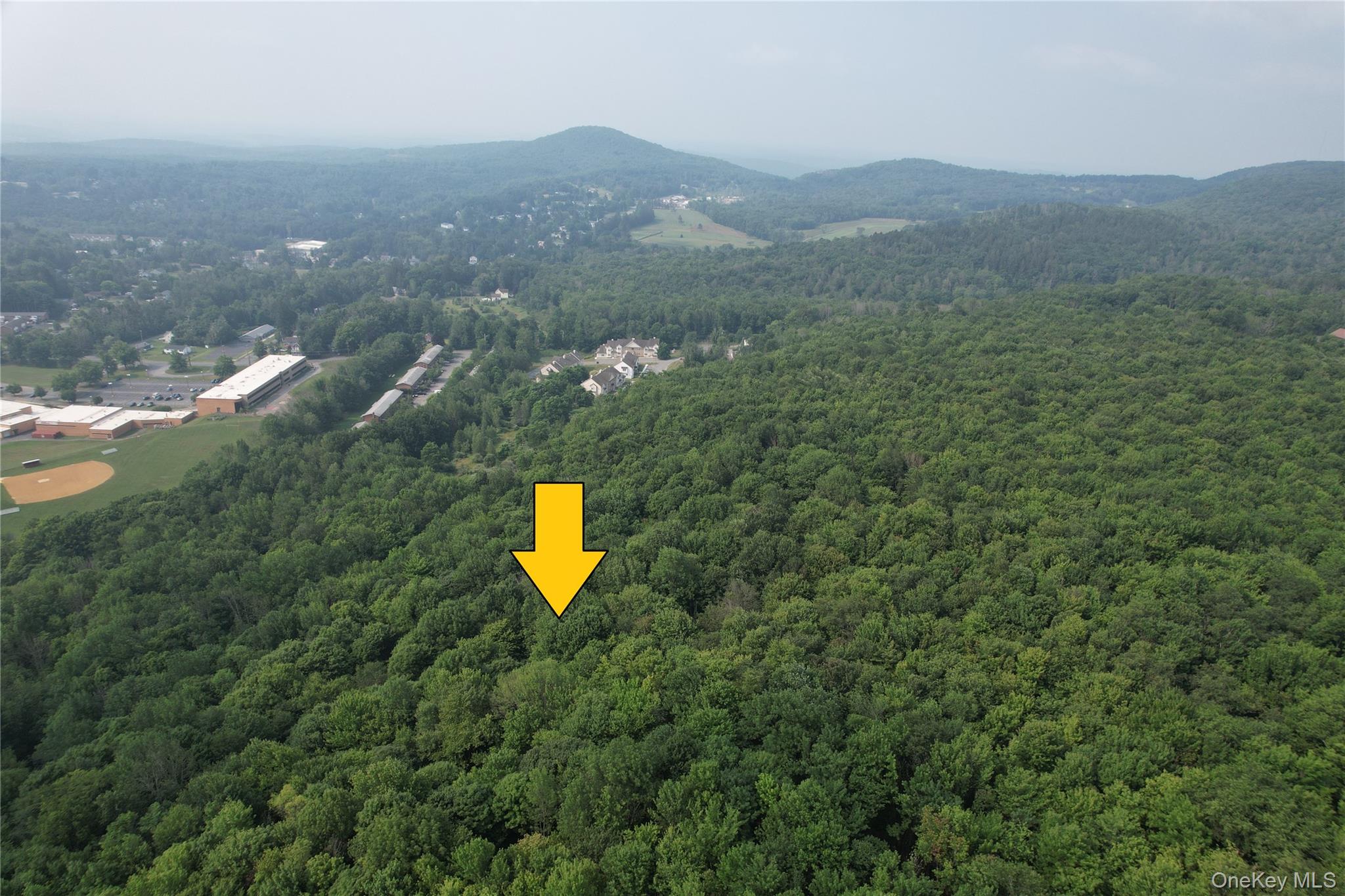Tbd Timberwolf Road Property Photo 25