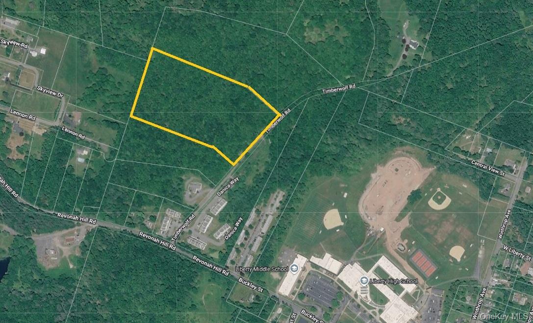 Tbd Timberwolf Road Property Photo 27
