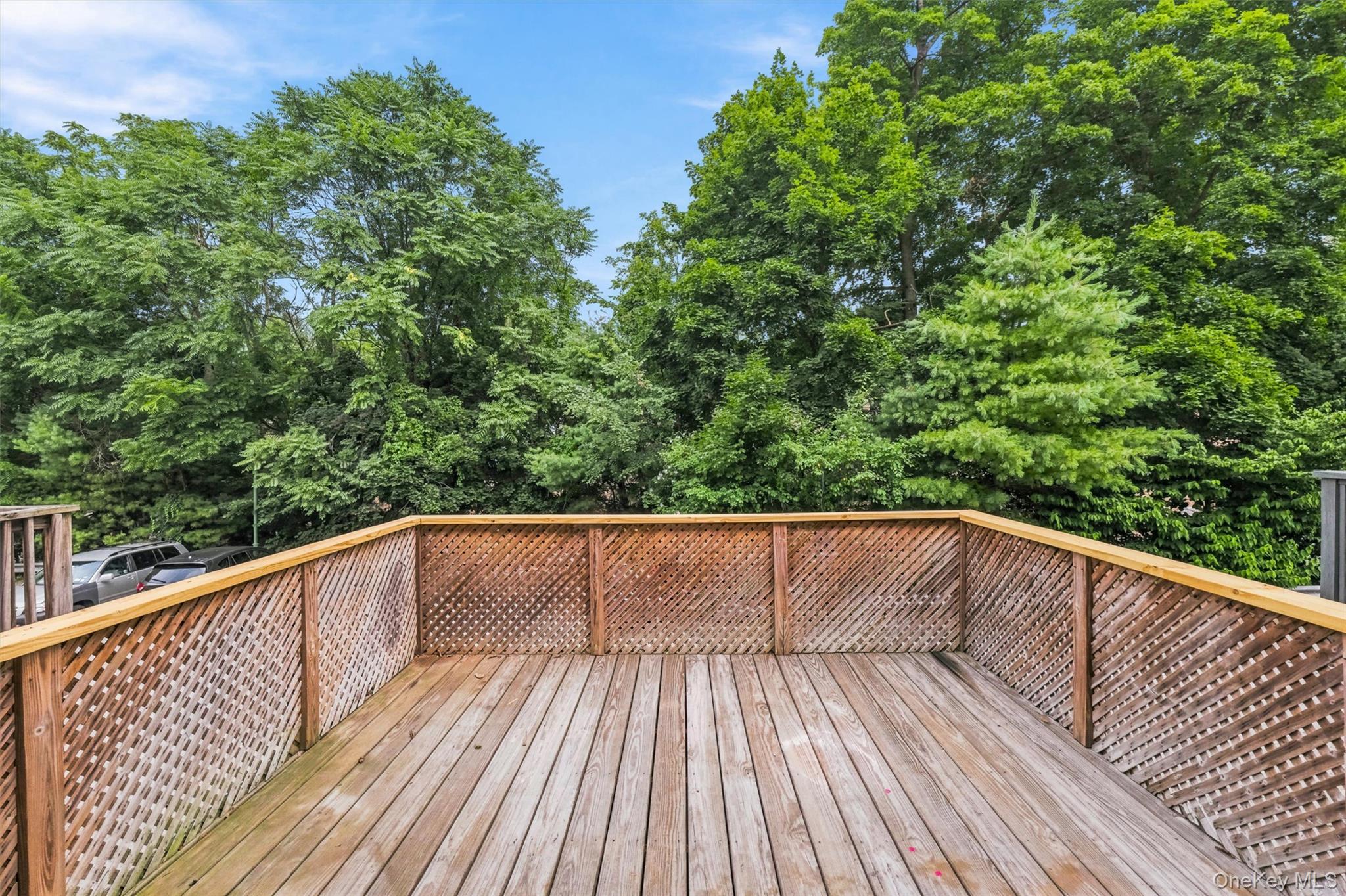 1630 Park Street Property Photo 36
