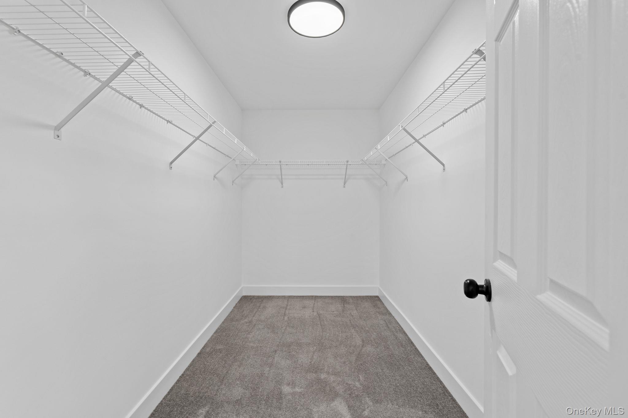 59 Paddock Drive Property Photo 24